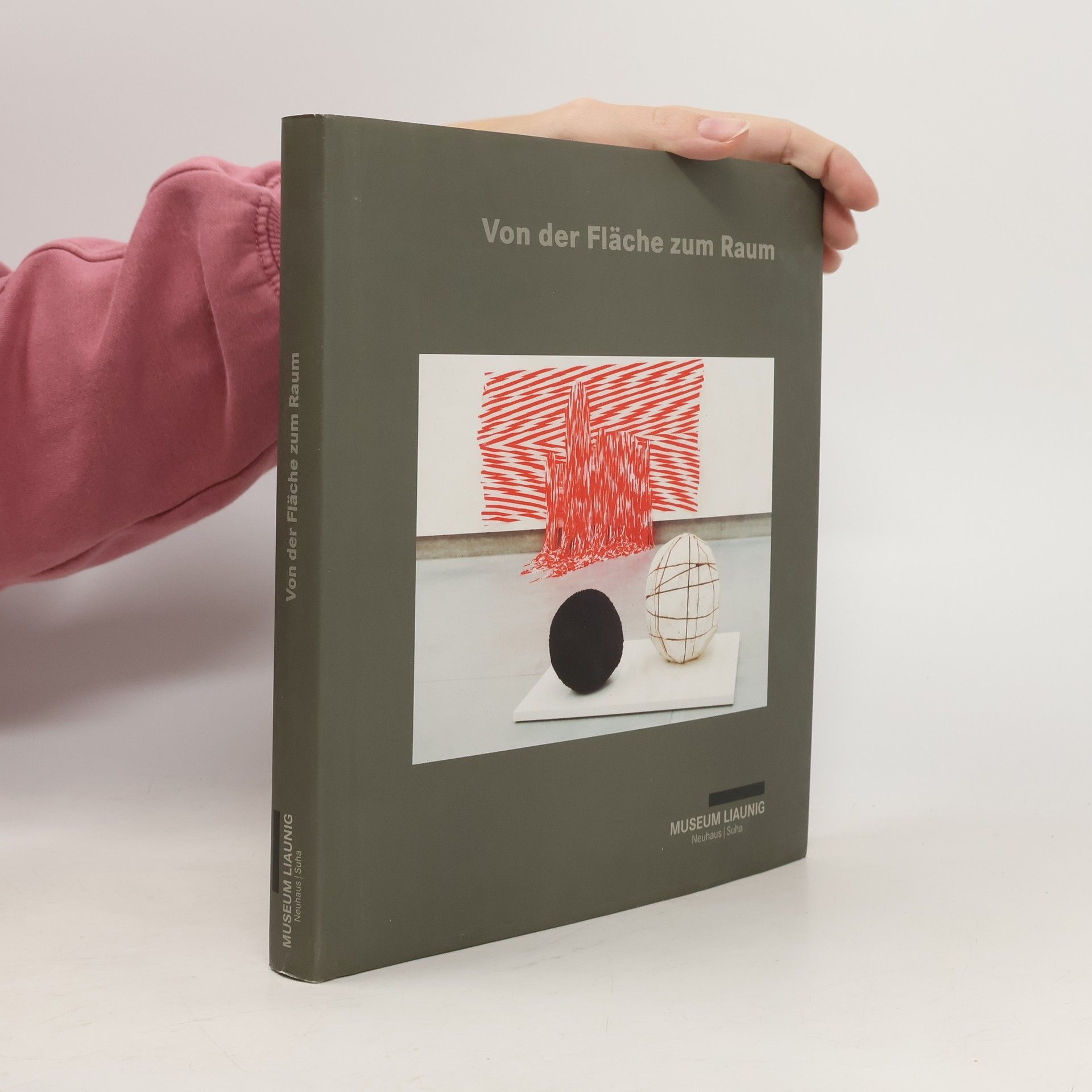 Kolektív autorov Von der Fläche zum Raum