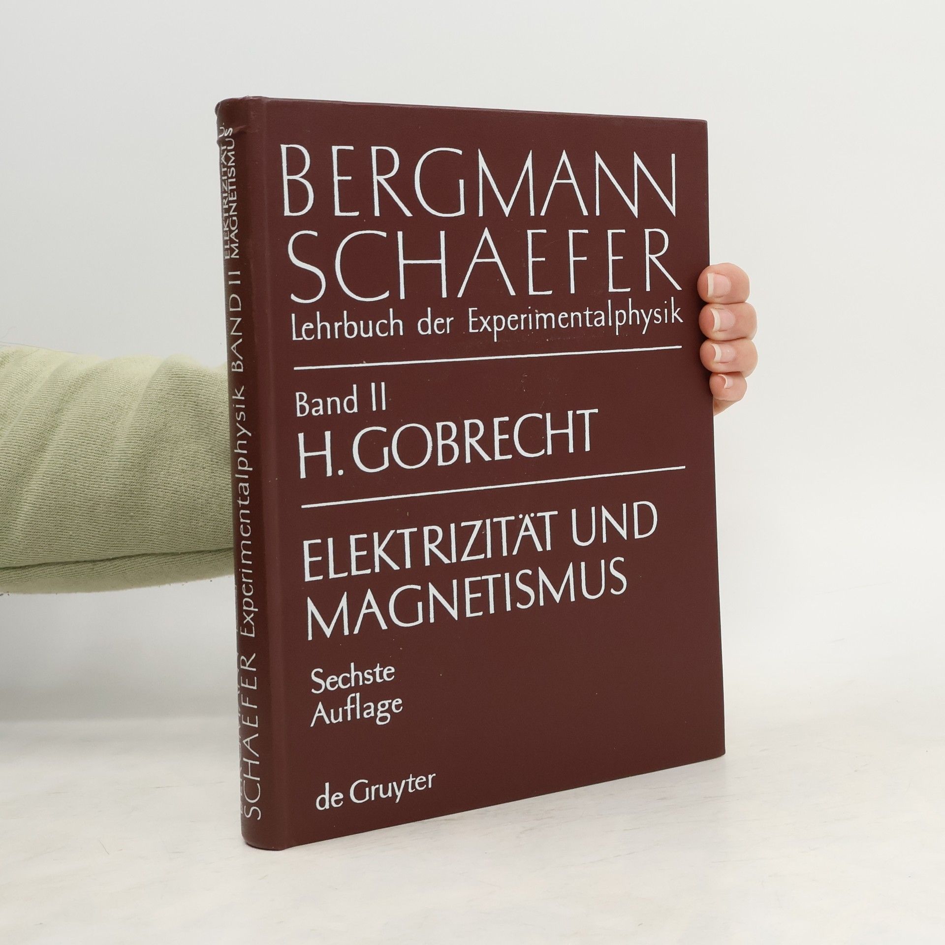 Bergmann Schaefer. Elektrizität und Magnetismus