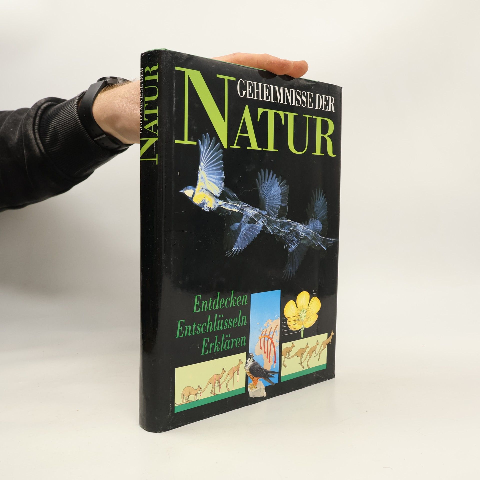 Autorenkollektiv Geheimnisse der Natur