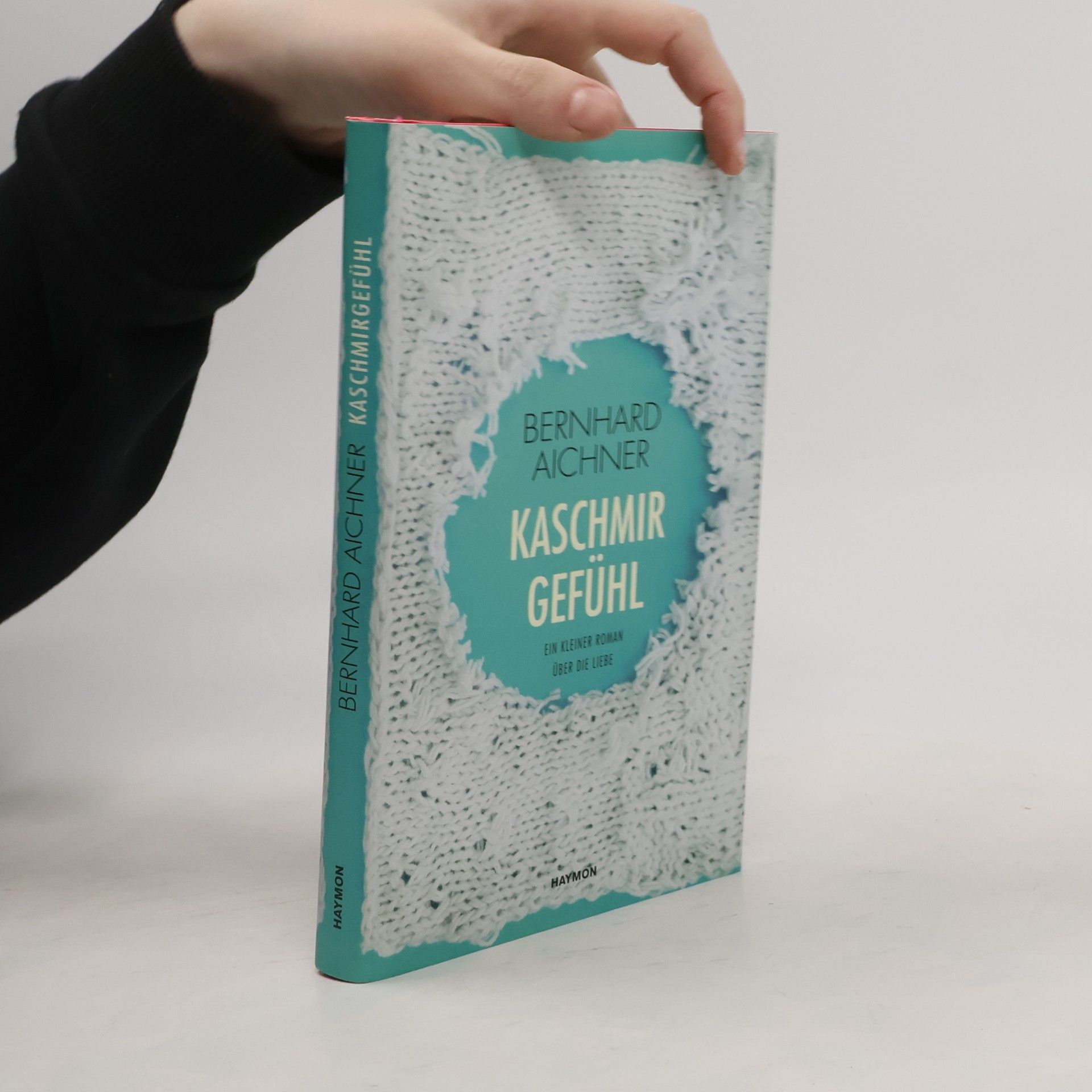 Bernhard Aichner Kaschmirgefühl