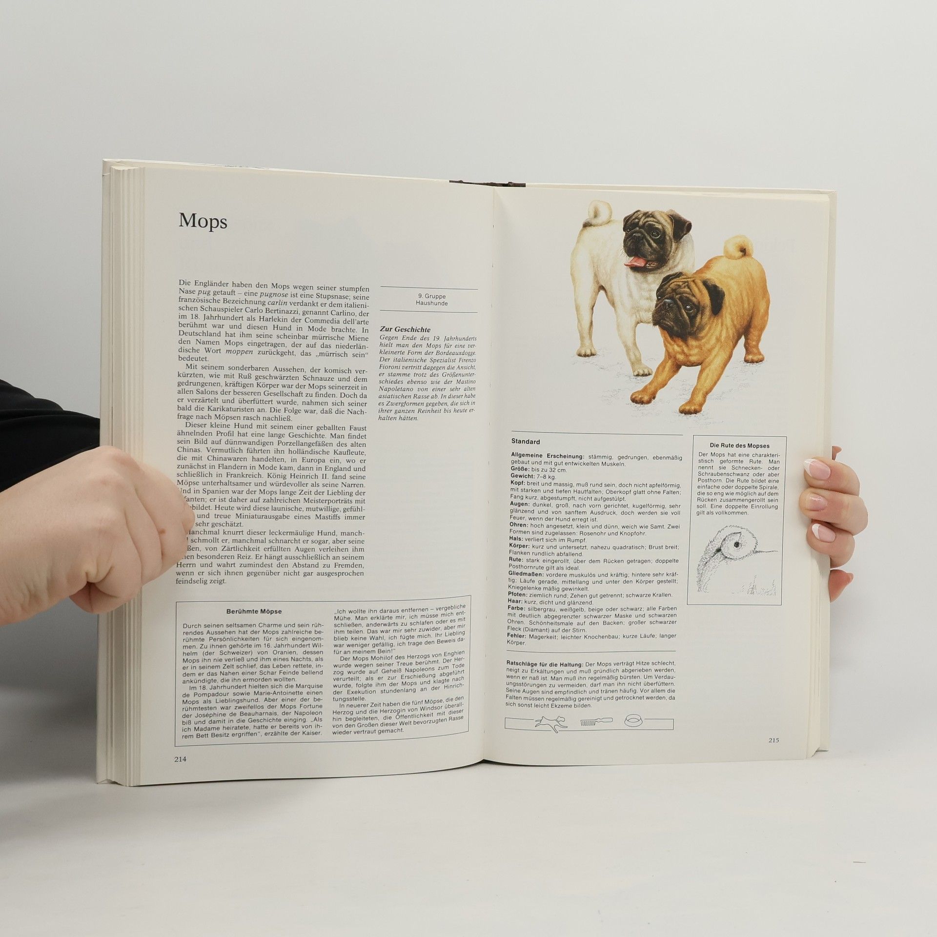 Dorit Feddersen Petersen Mein Freund der Hund