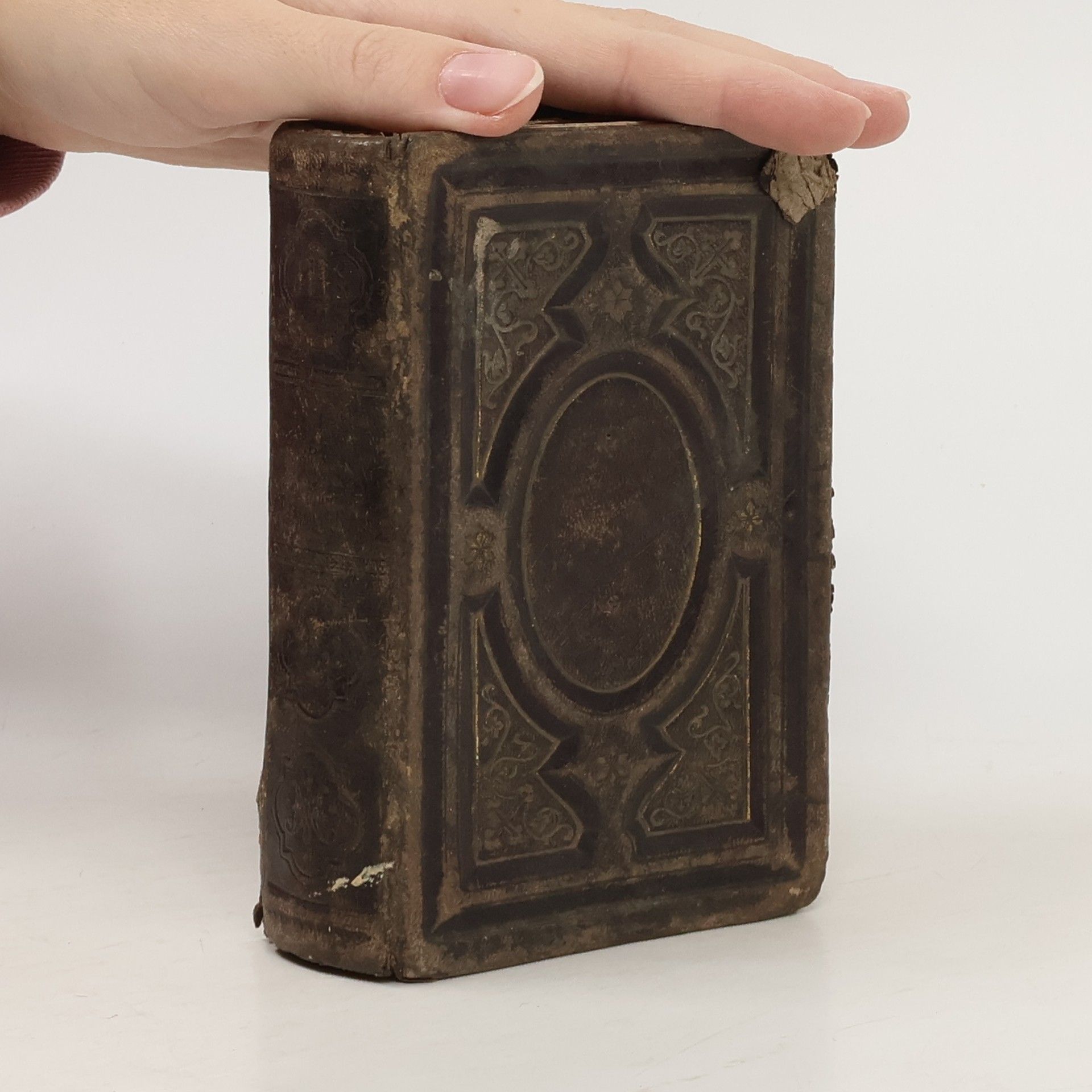 P. Anton Hermann Der leidende Heiland dein Vorbild!