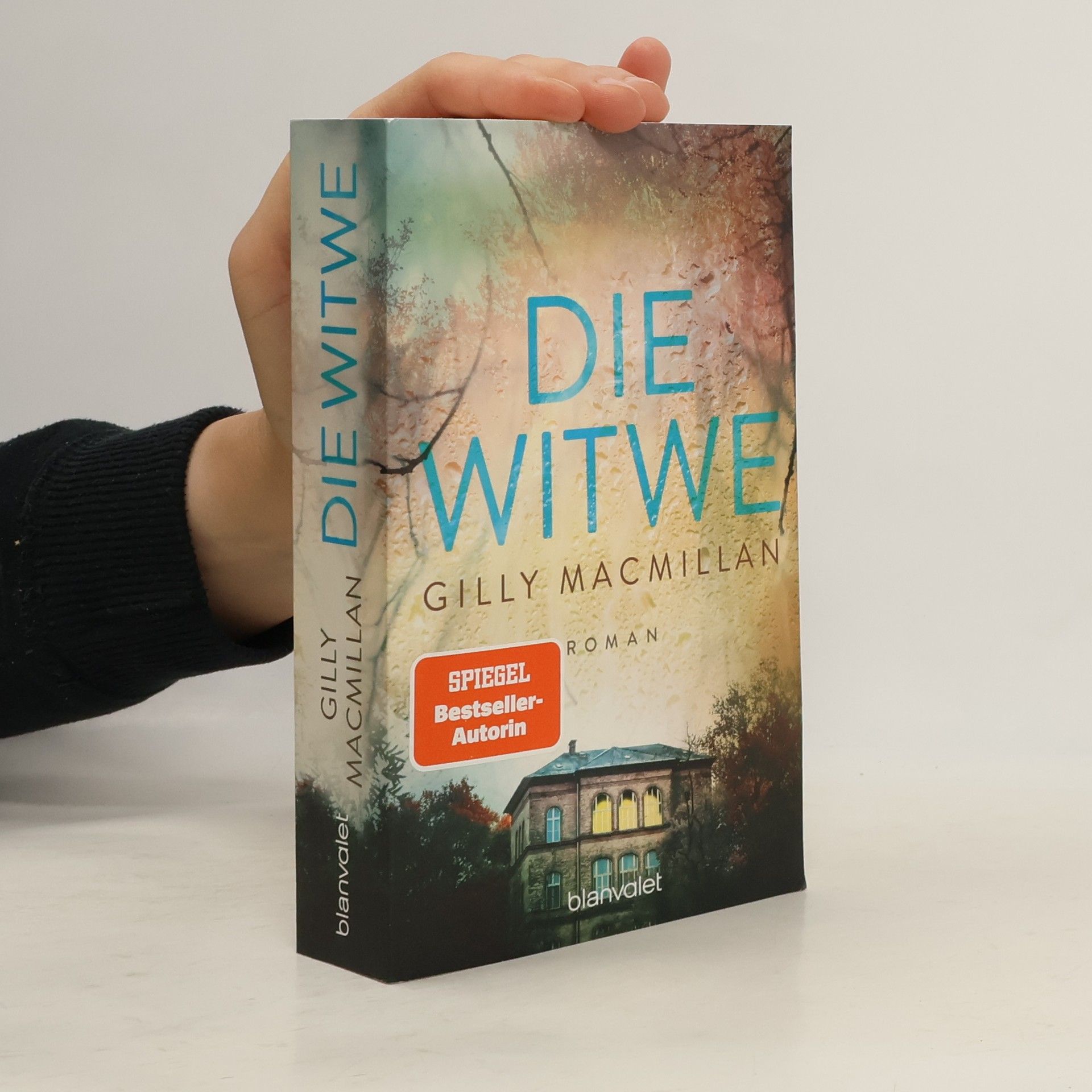 Gilly Macmillan Die Witwe