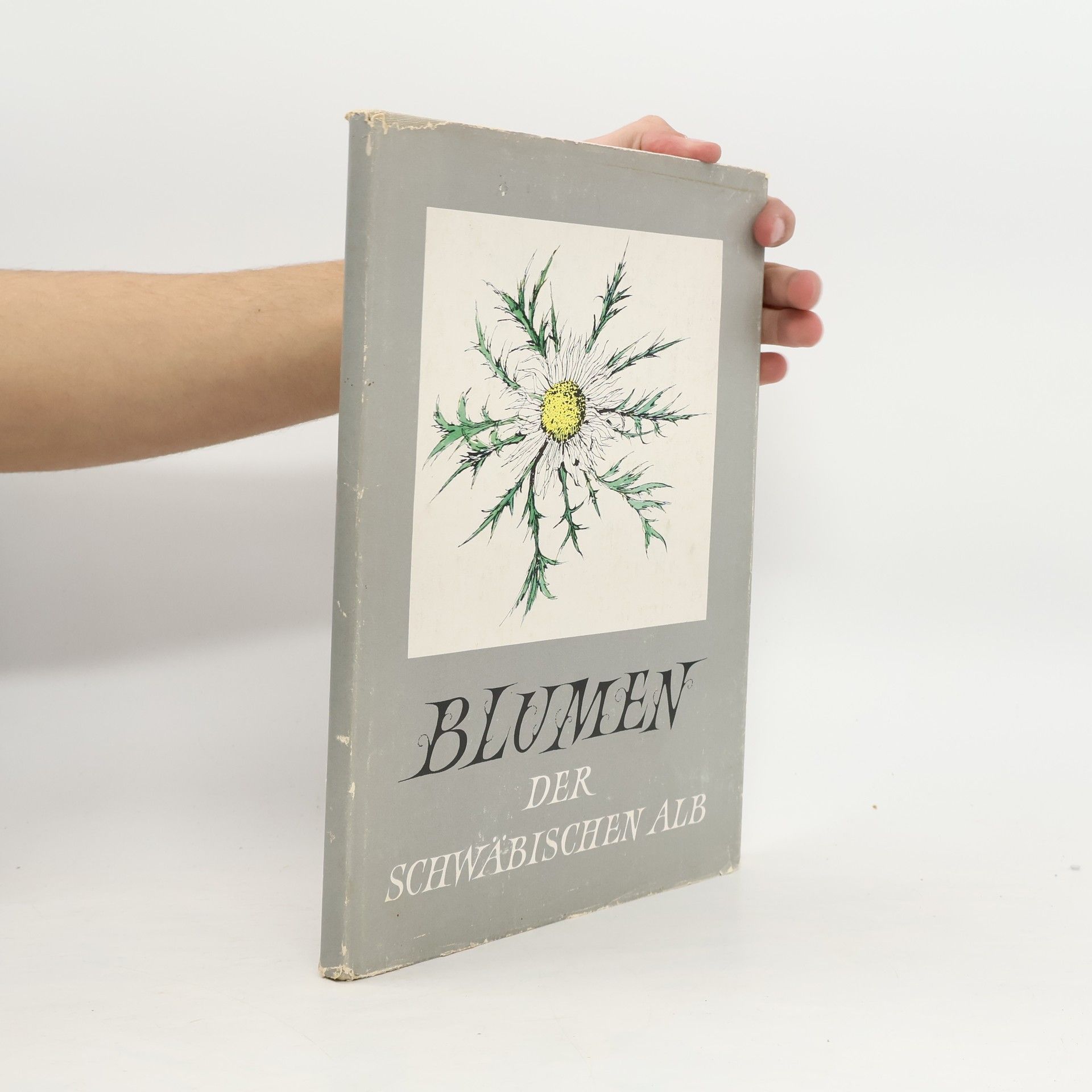 Kolektív autorov Blumen der Schwäbischen Alb