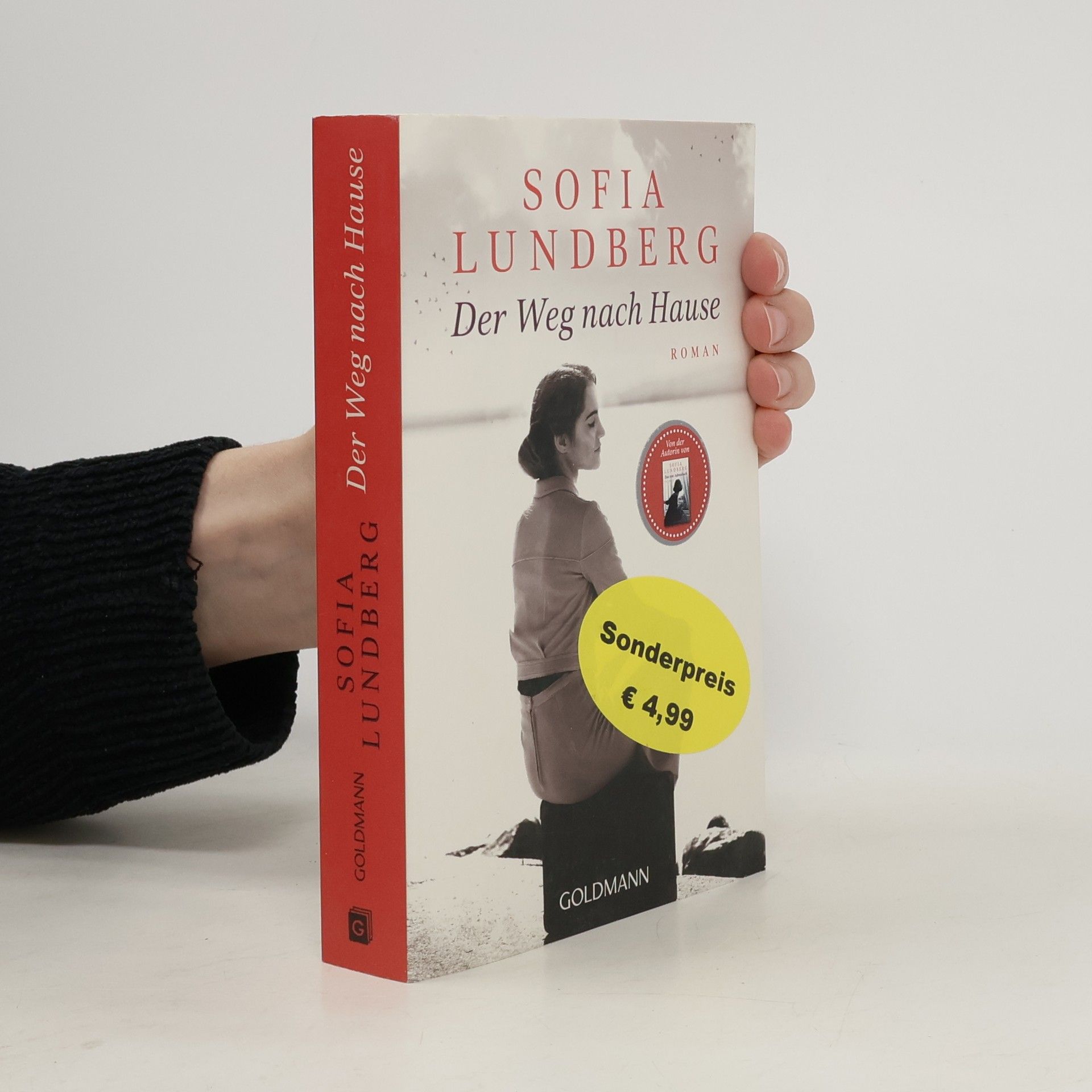 Sofia Lundberg Der Weg nach Hause