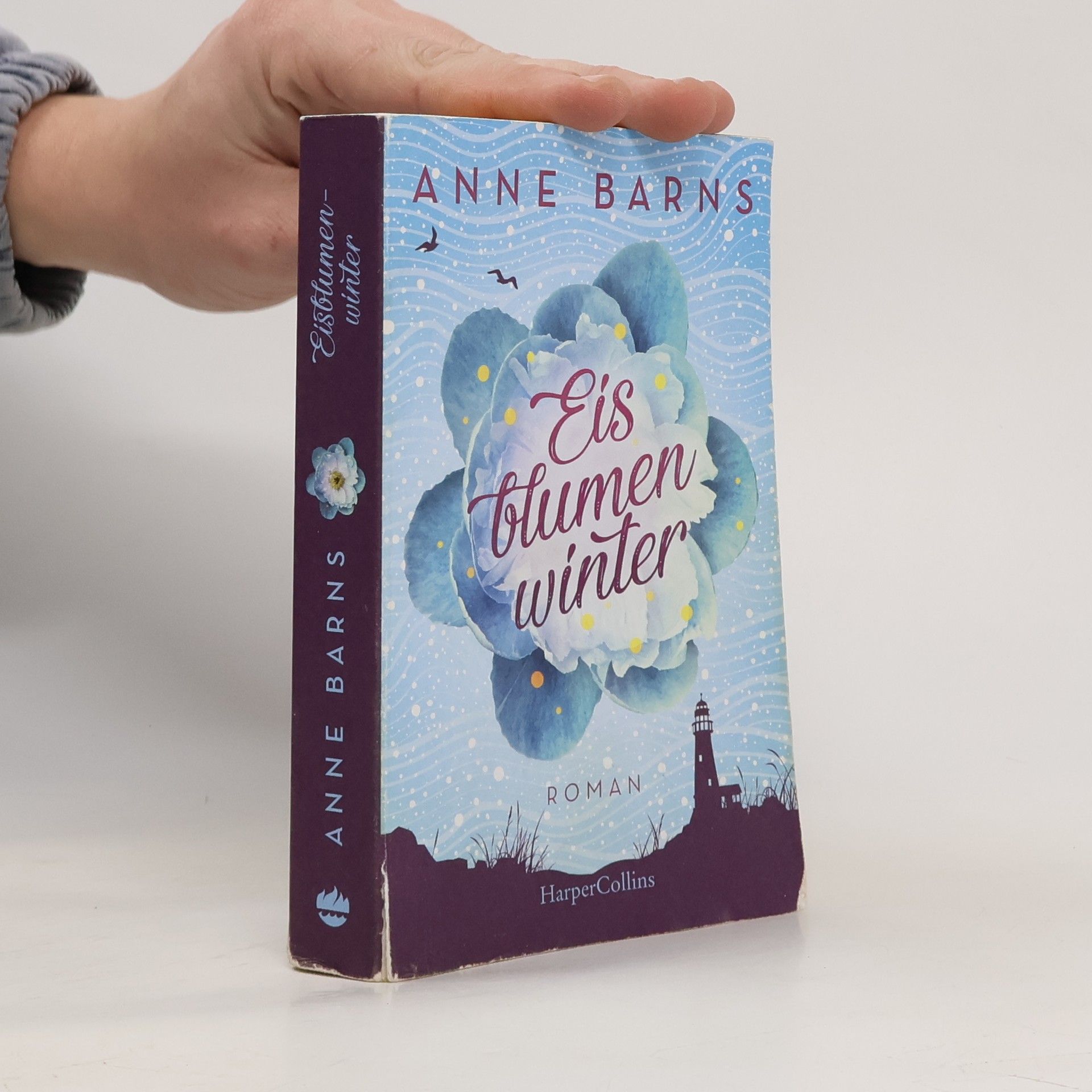 Anne Barns Eisblumenwinter