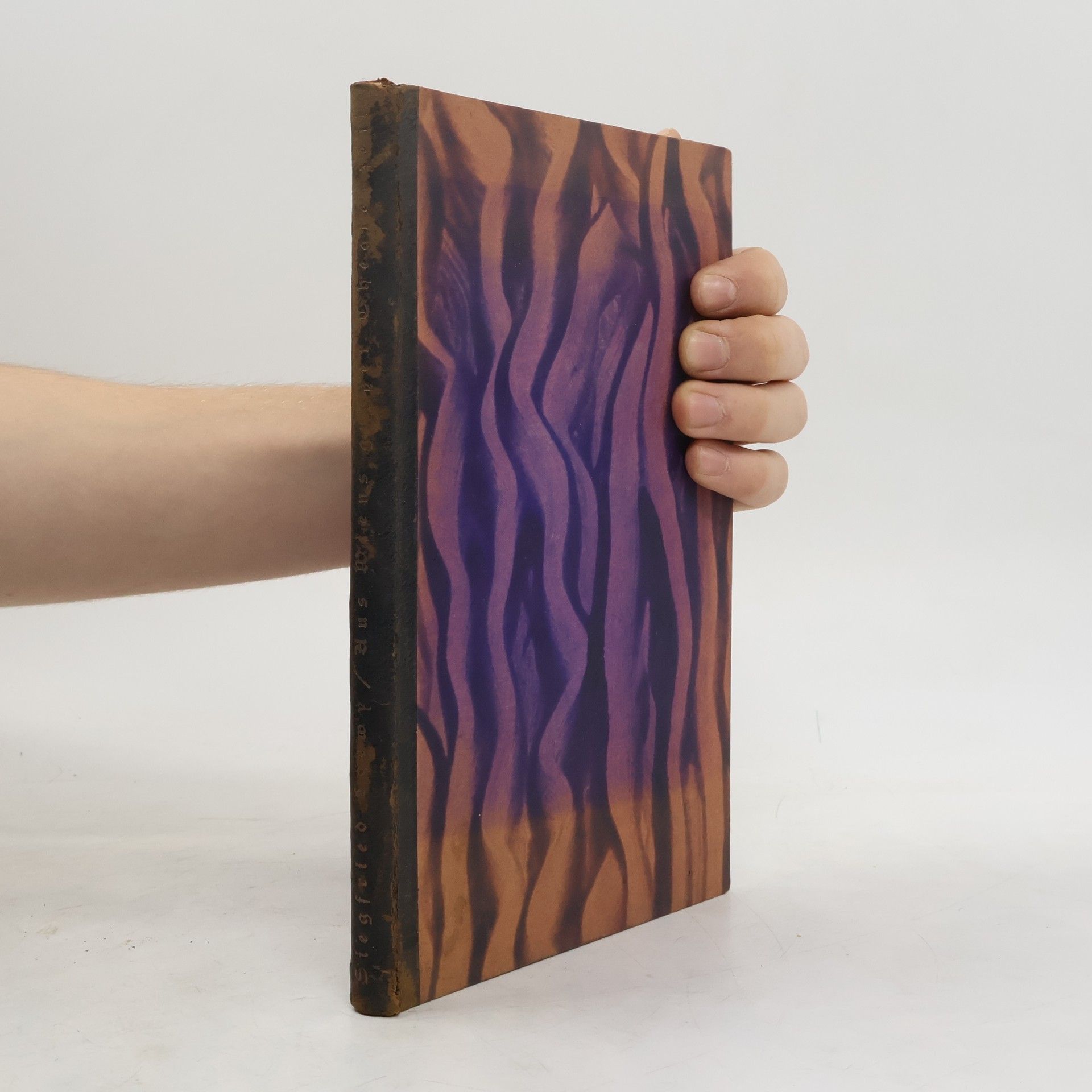 Aus Wiens großer Theaterzei