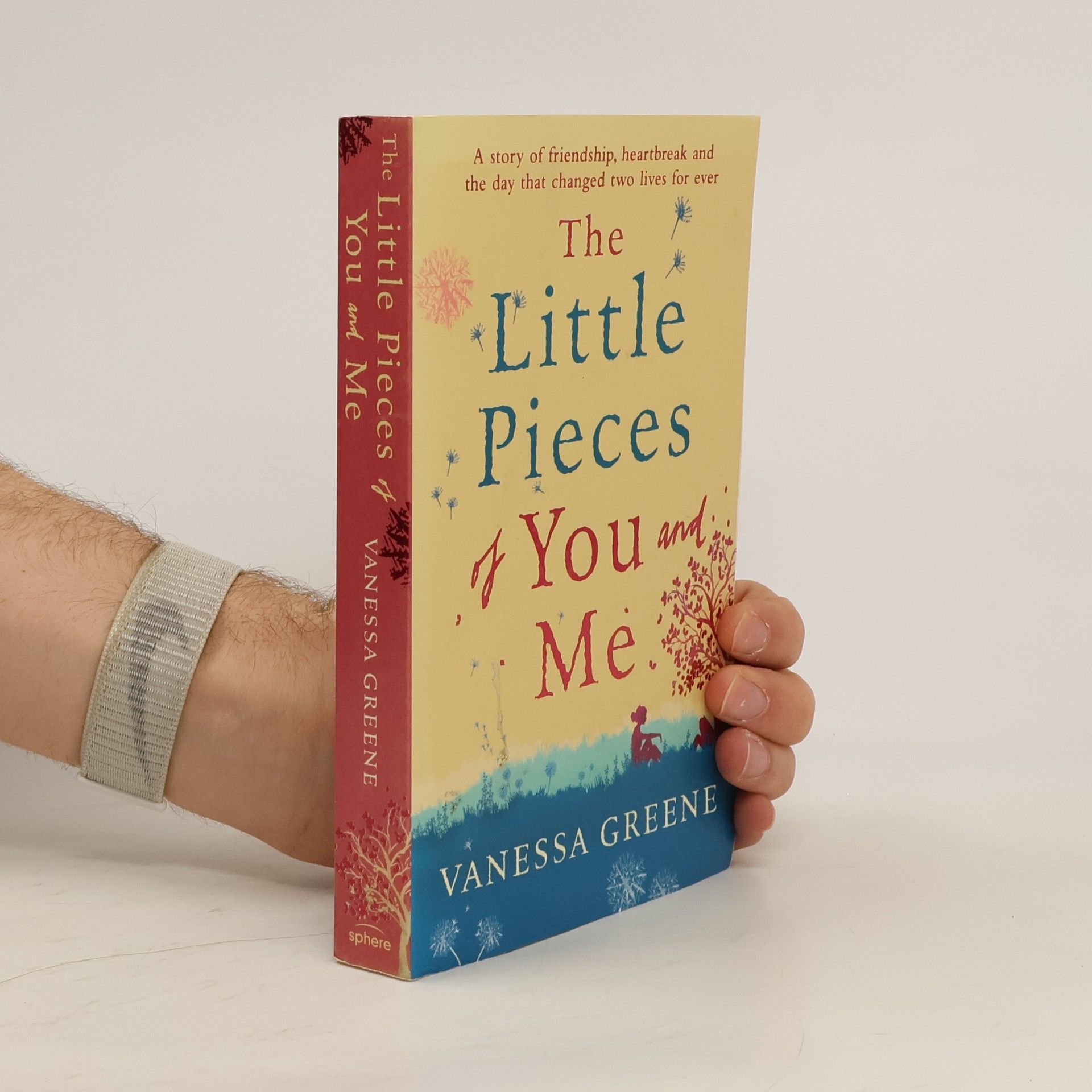 Vanessa Greene The Little Pieces of You and Me