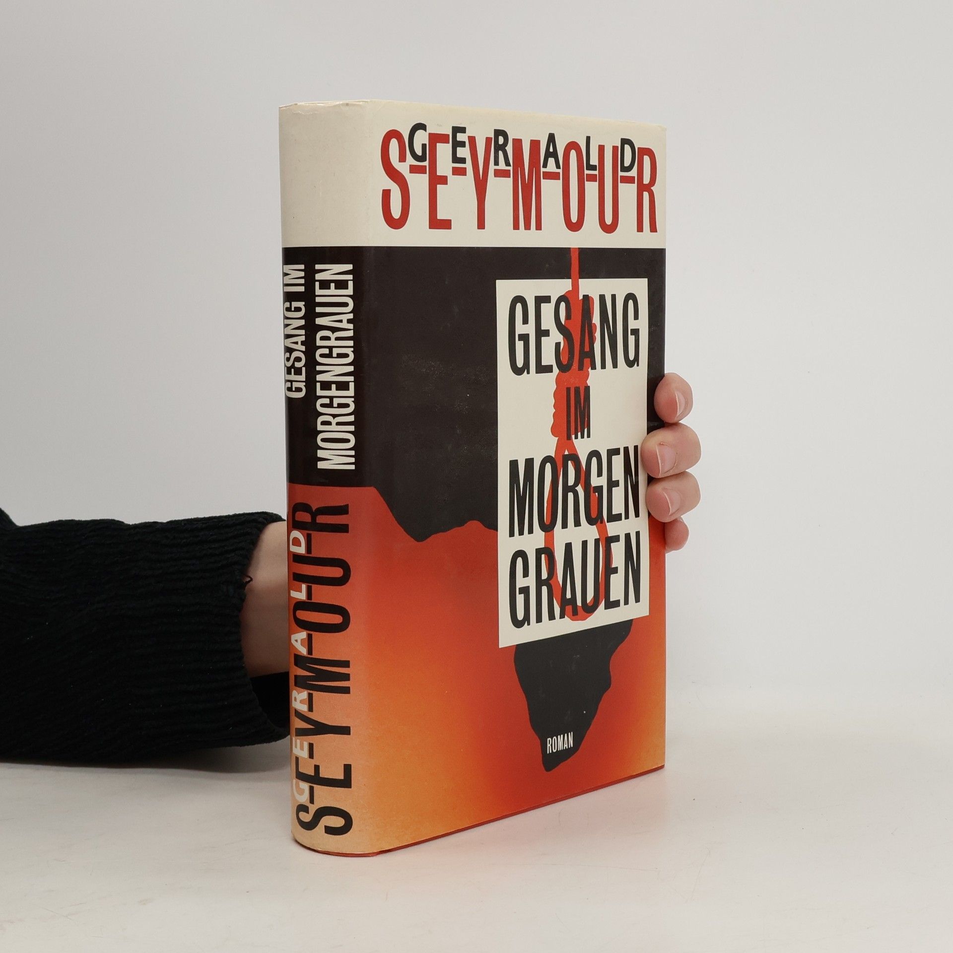 Gerald Seymour Gesang im Morgengrauen
