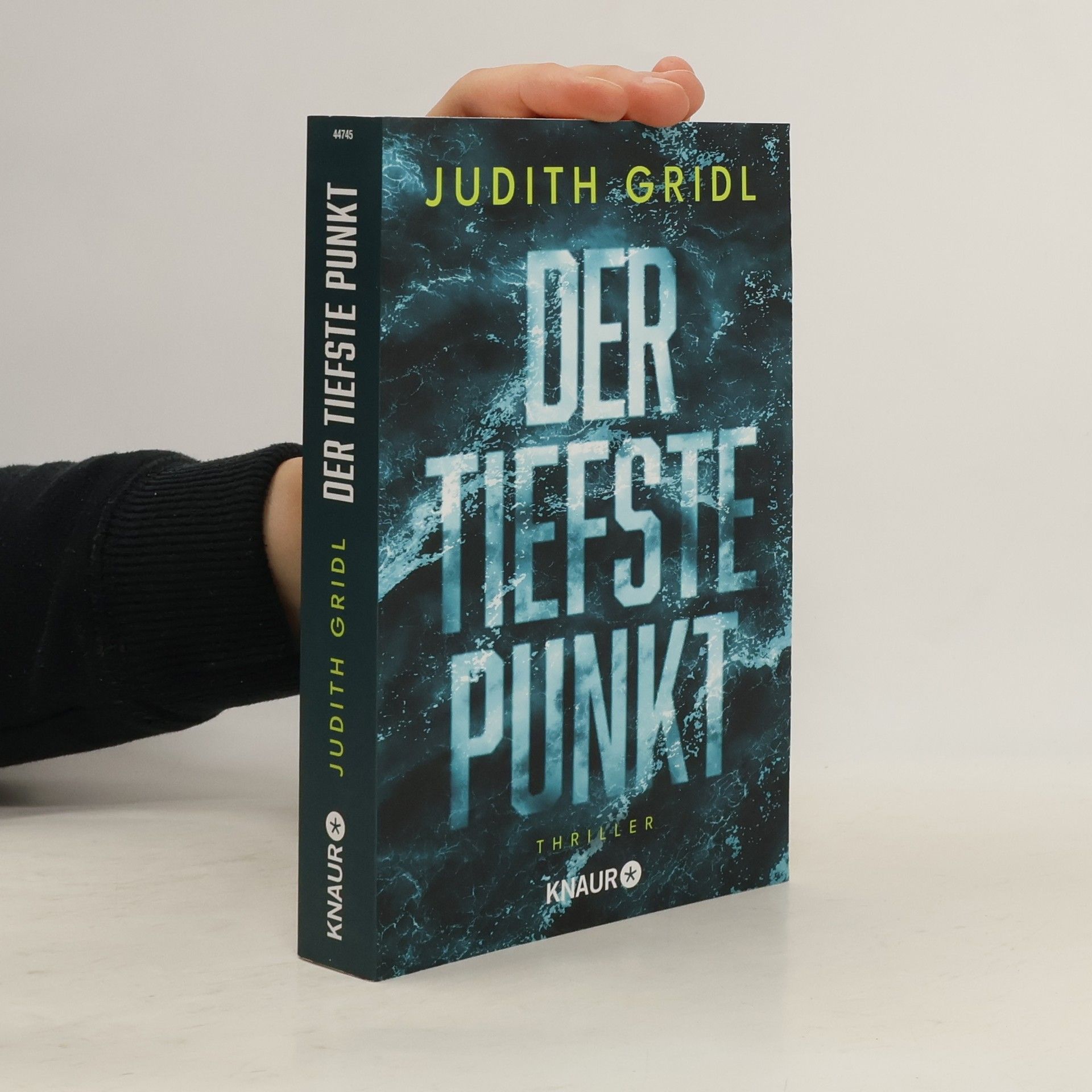 Judith Gridl Der tiefste Punkt