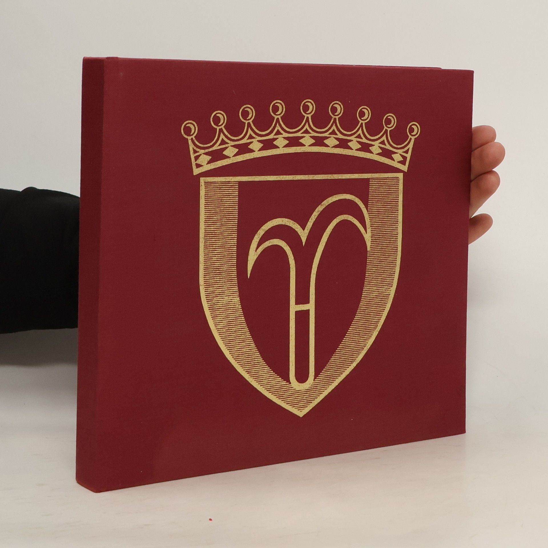 50 Jahre Stadtgemeinde Mattersburg