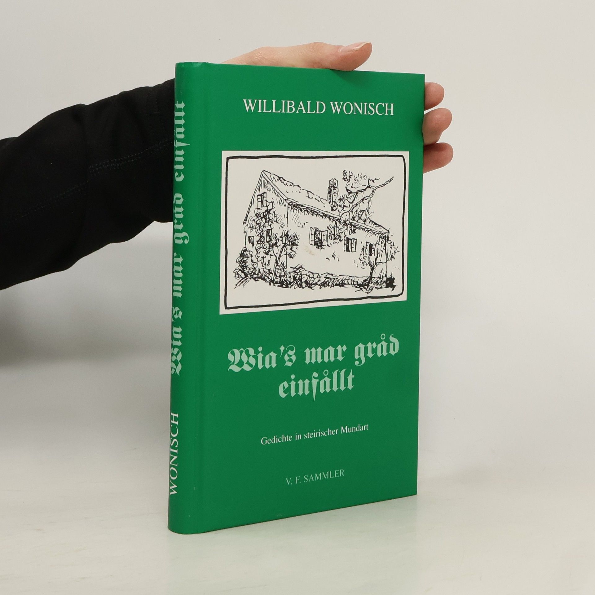 Wia's mar grad einfallt: Gedichte in steirischer Mundart