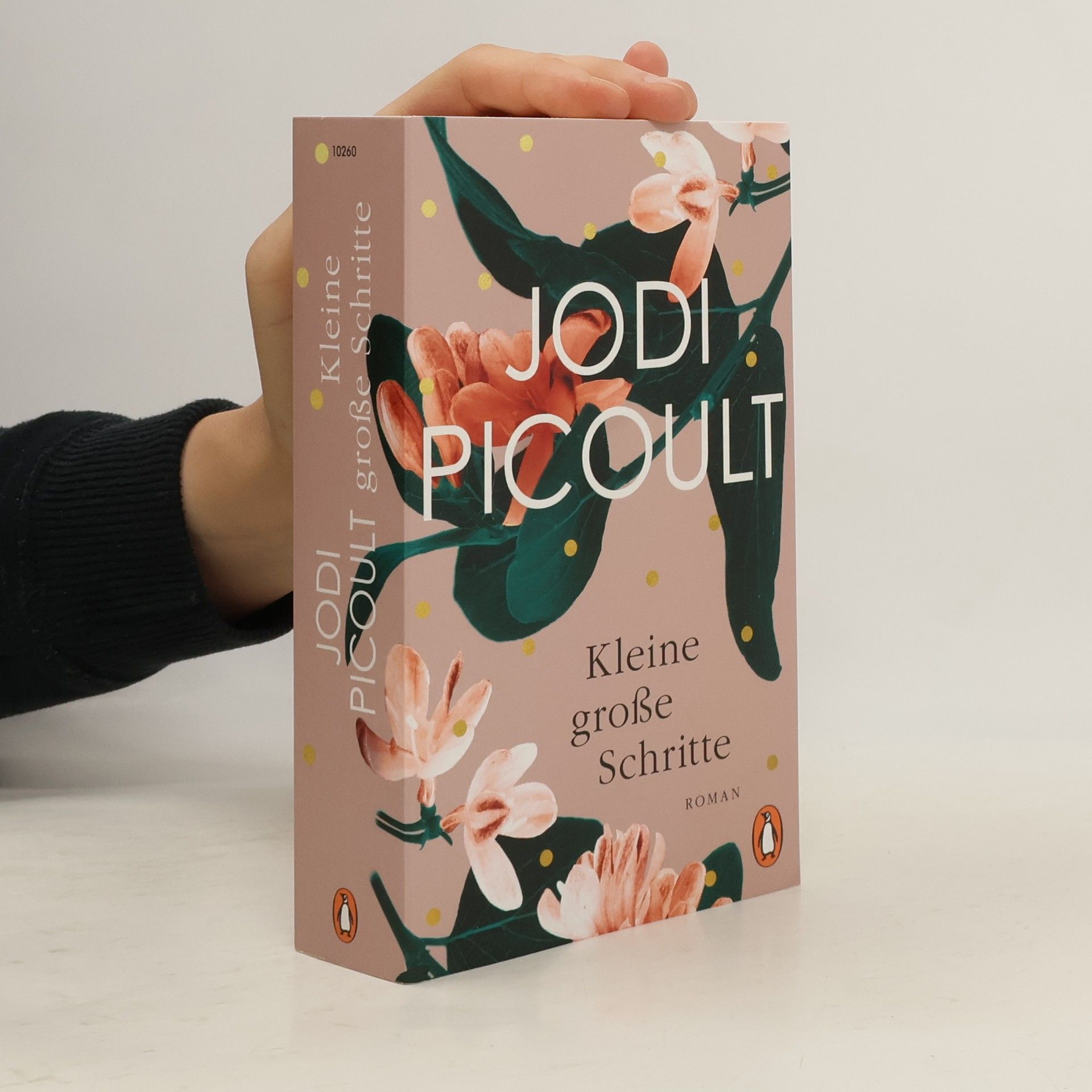 Jodi Picoult Kleine große Schritte