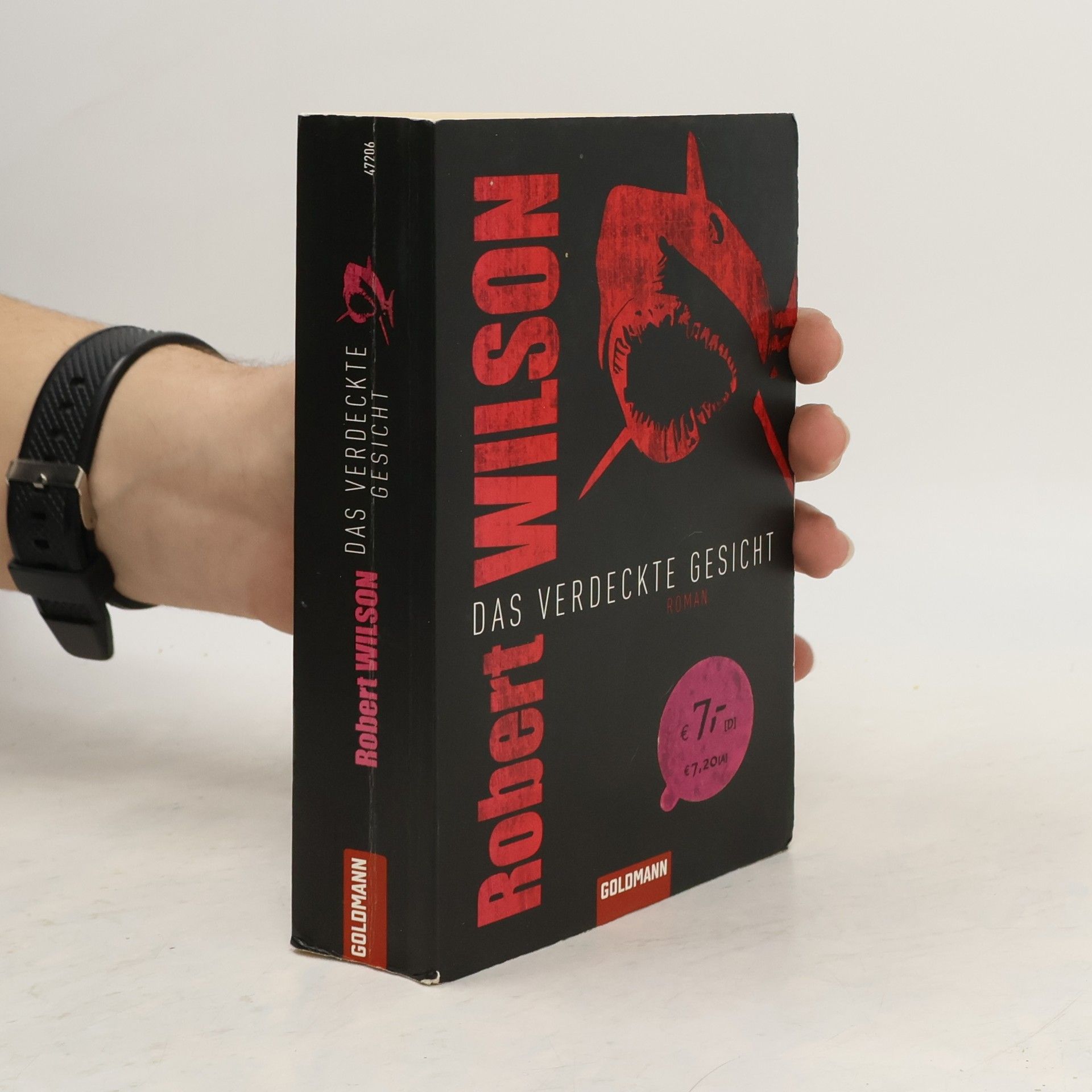 Robin Wilson Das verdeckte Gesicht