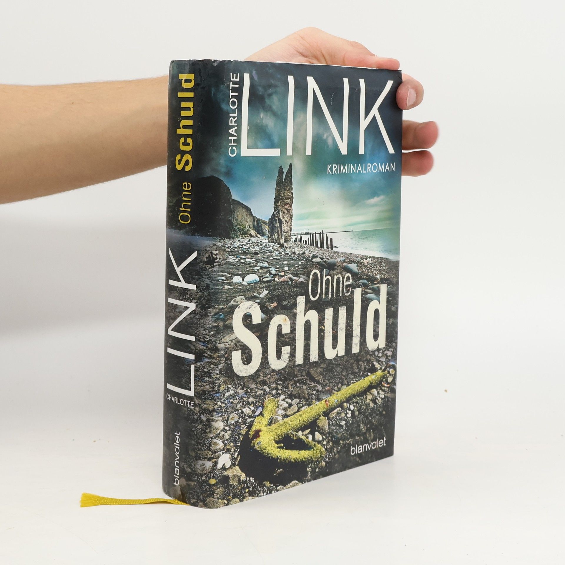 Charlotte Link Ohne Schuld