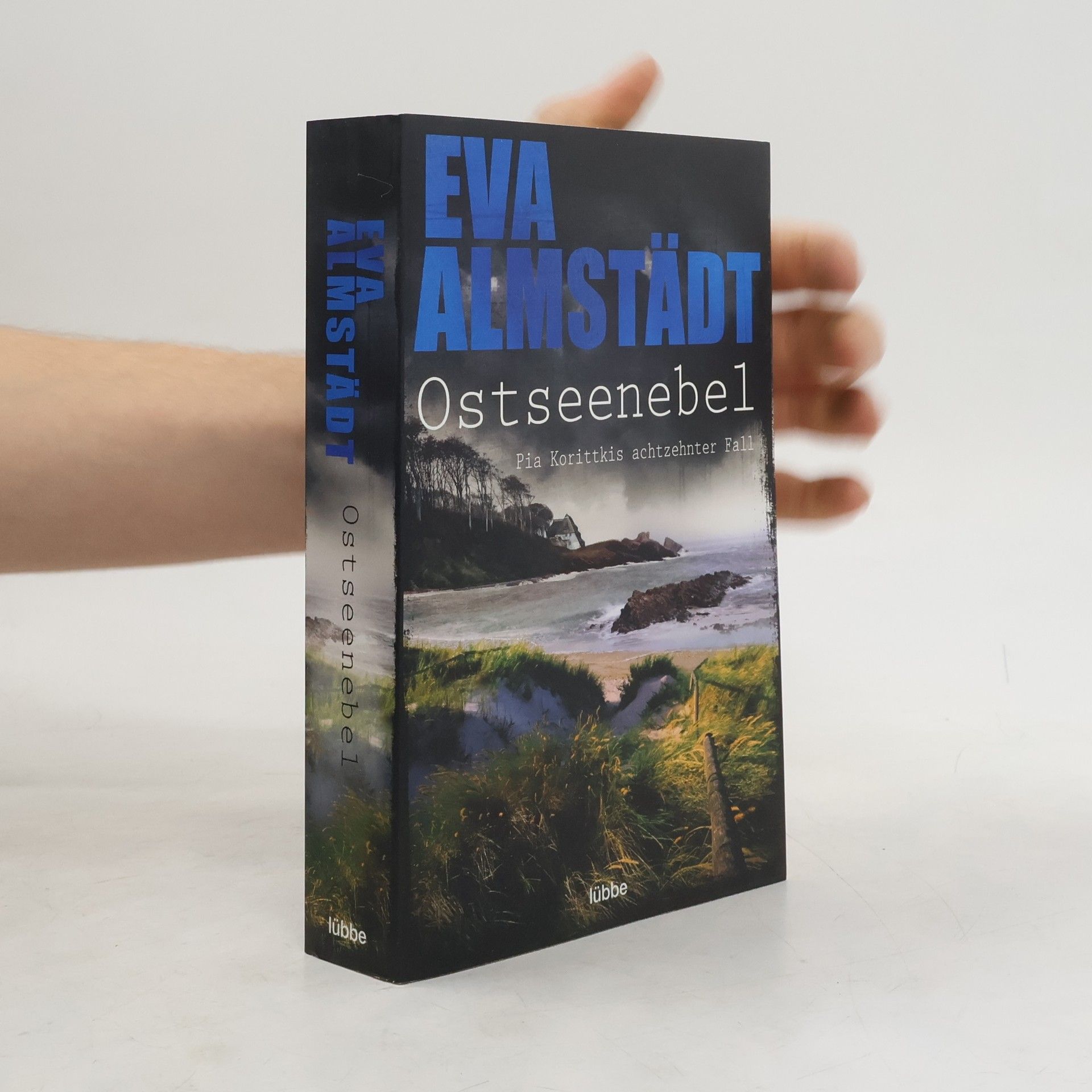 Eva Almstadt Ostseenebel