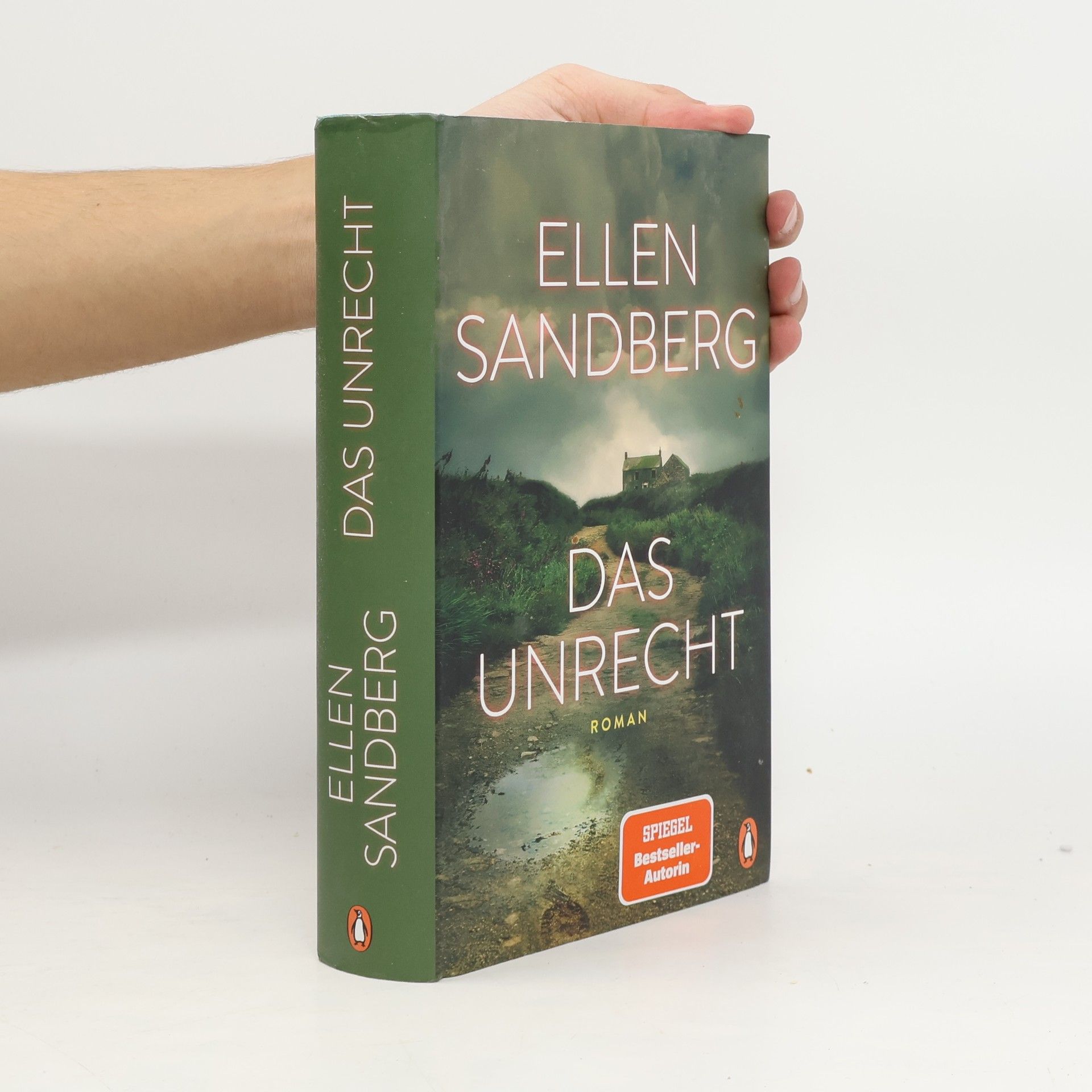 Ellen Sandberg Das Unrecht