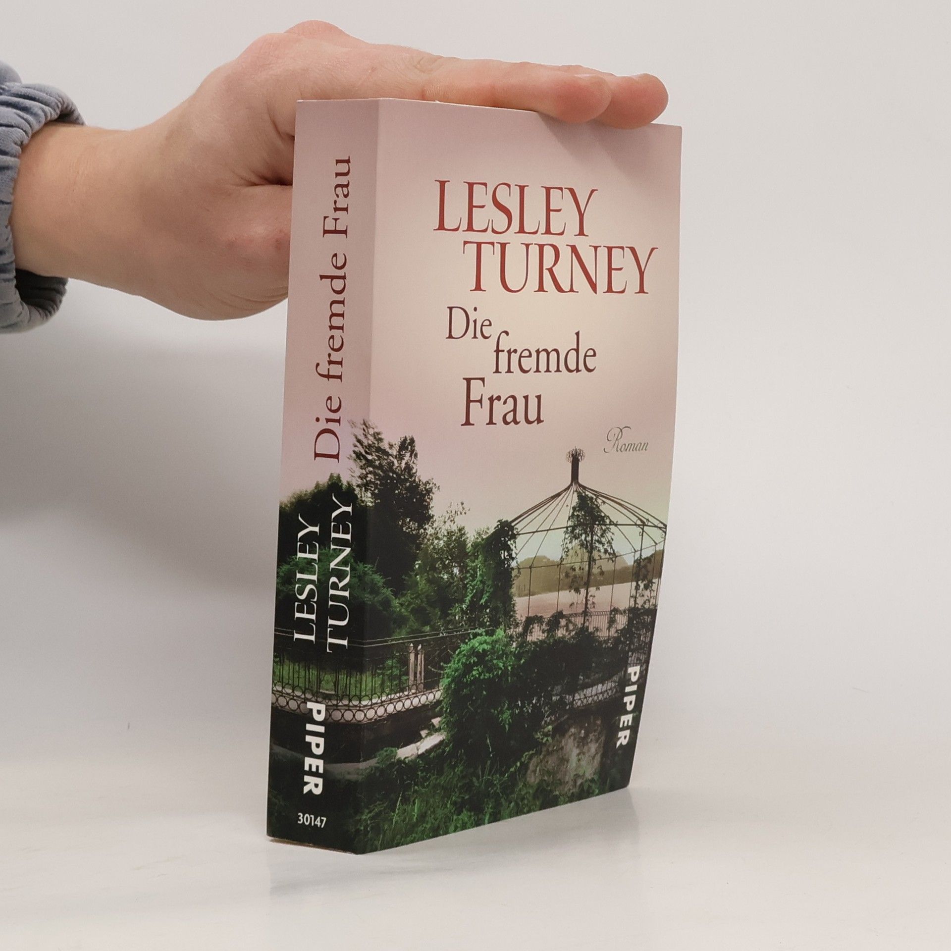 Lesley Turney Die fremde Frau
