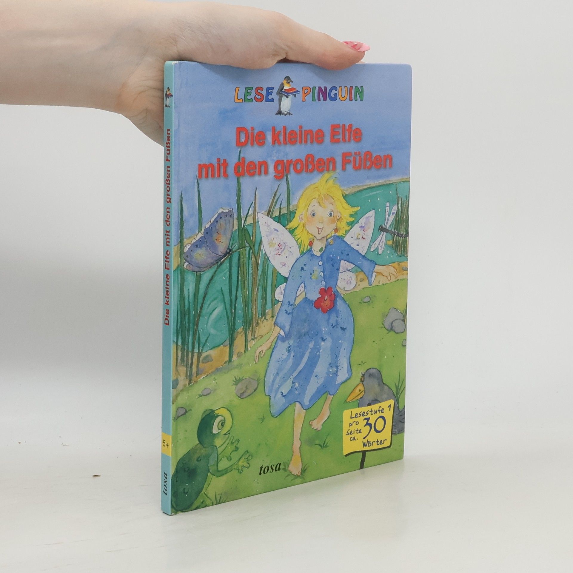 Kolektív autorov Die kleine Elfe mit den großen Füßen