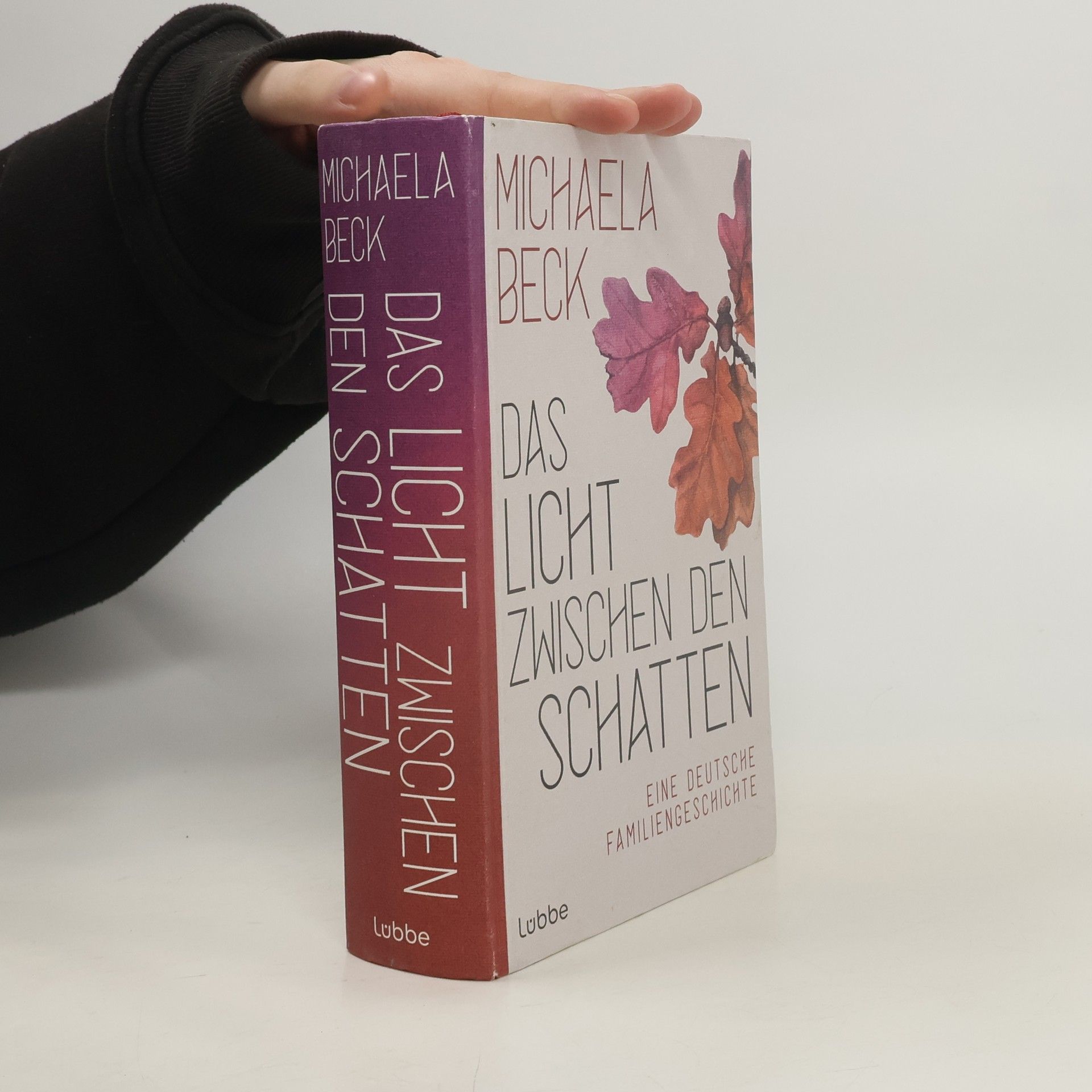 Michaela Beck Das Licht zwischen den Schatten