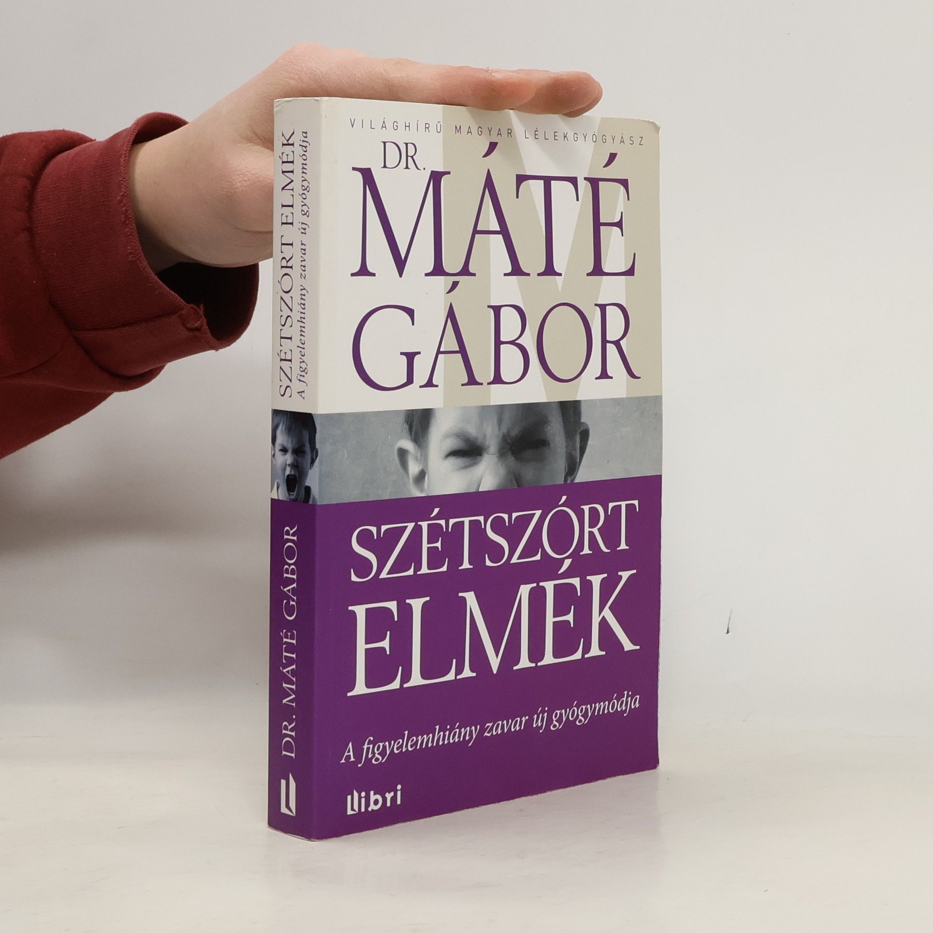 Dr. Máté Gábor Szétszórt elmék