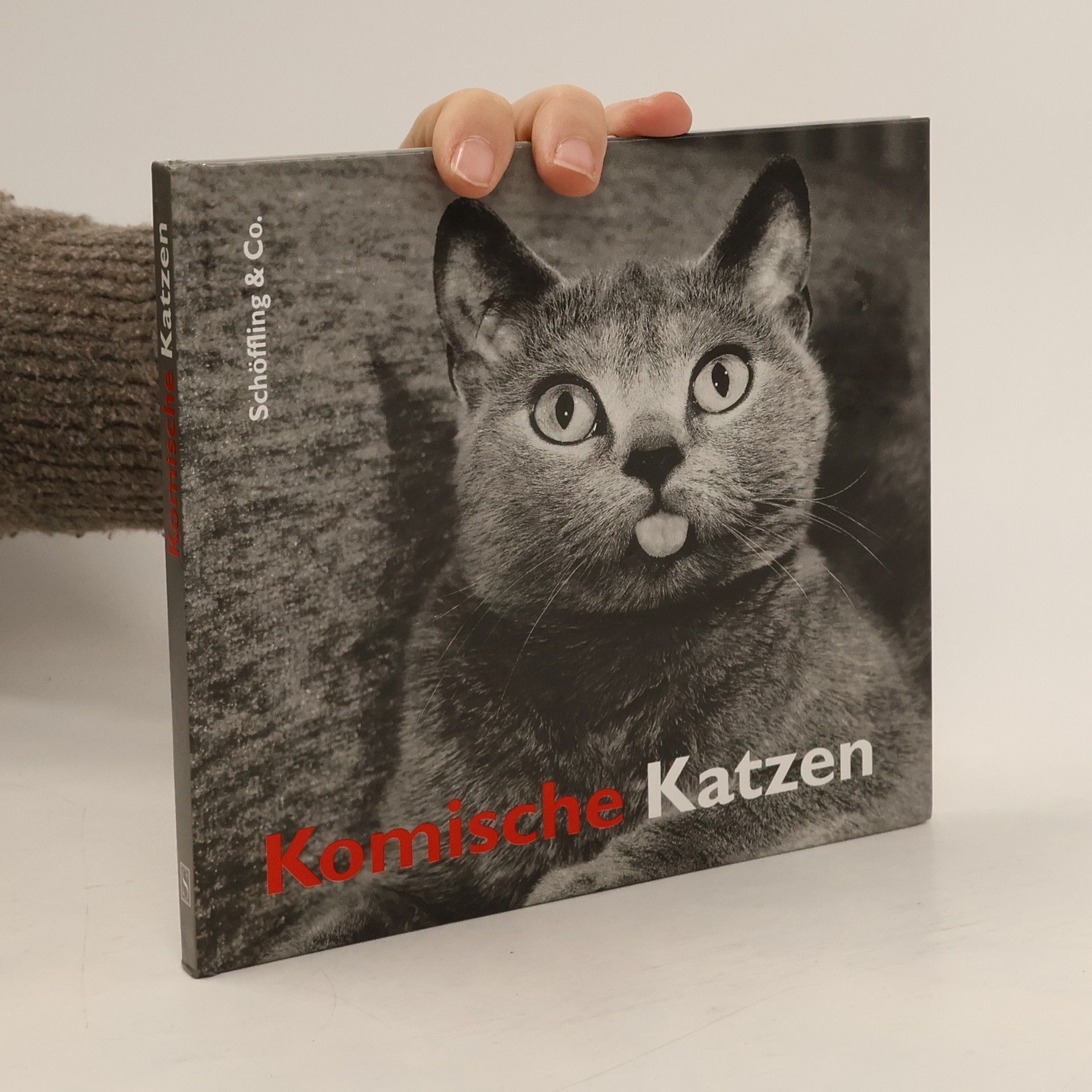 Julia Bachstein Komische Katzen