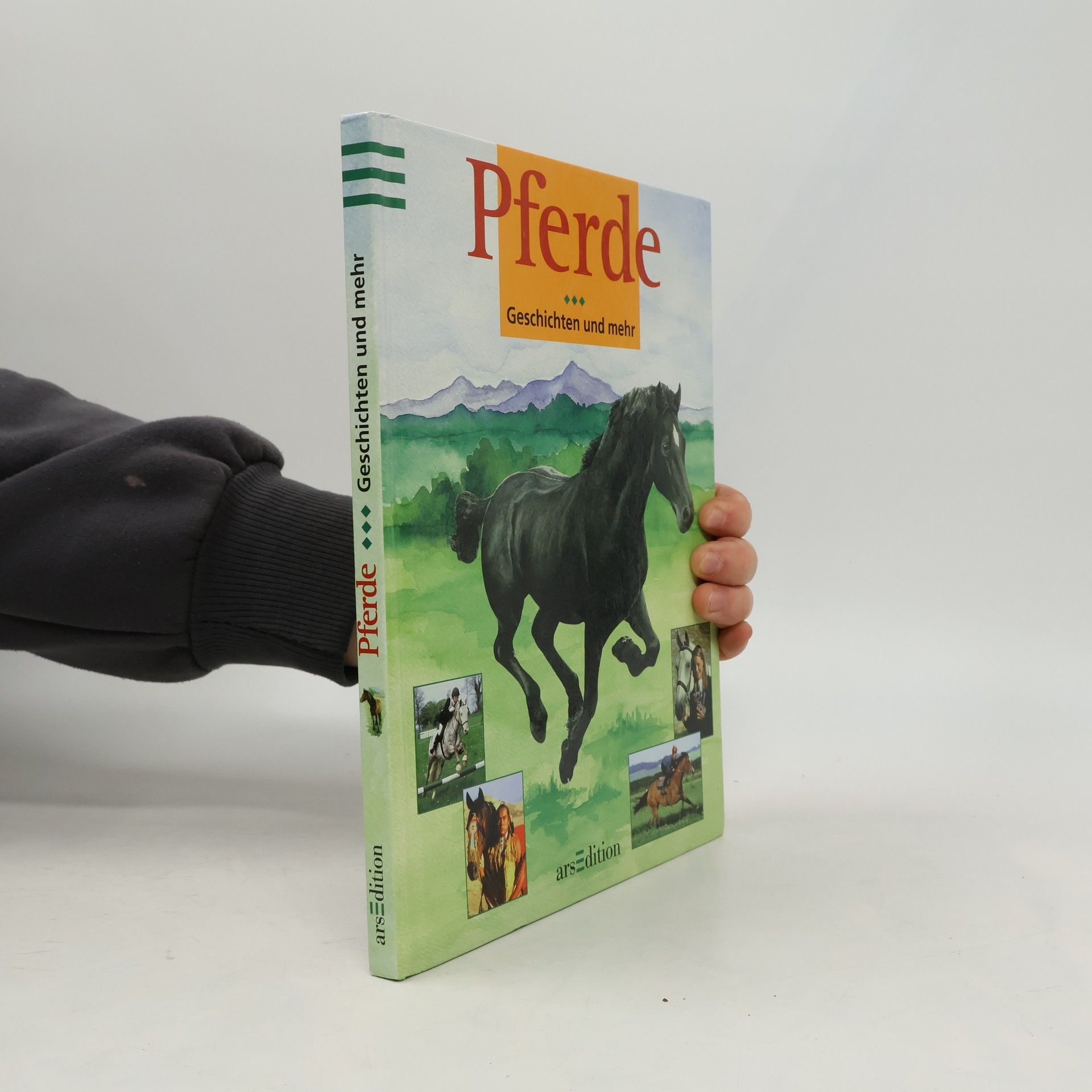 Diana Pullein-Thompson Pferde - Geschichten und mehr