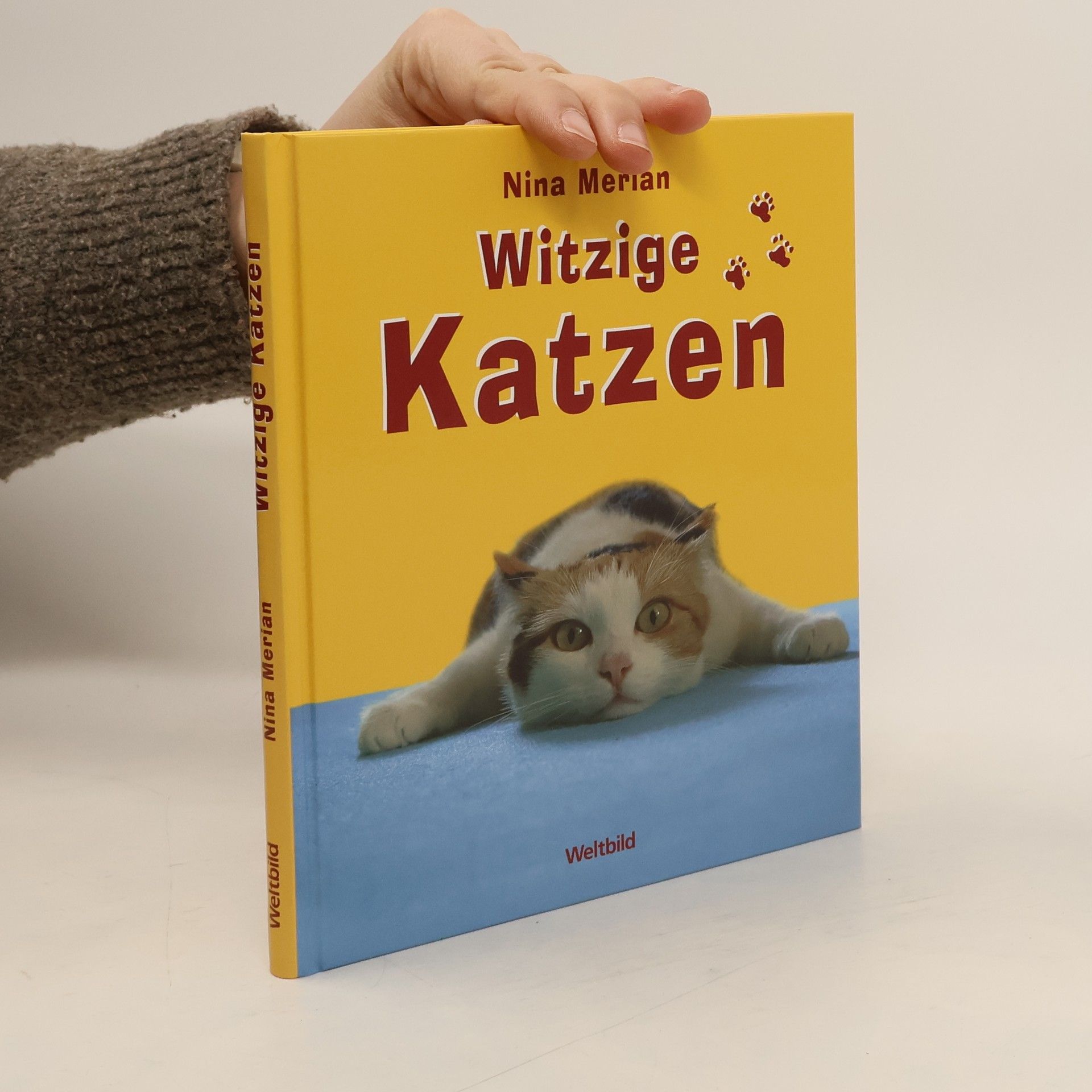Witzige Katzen