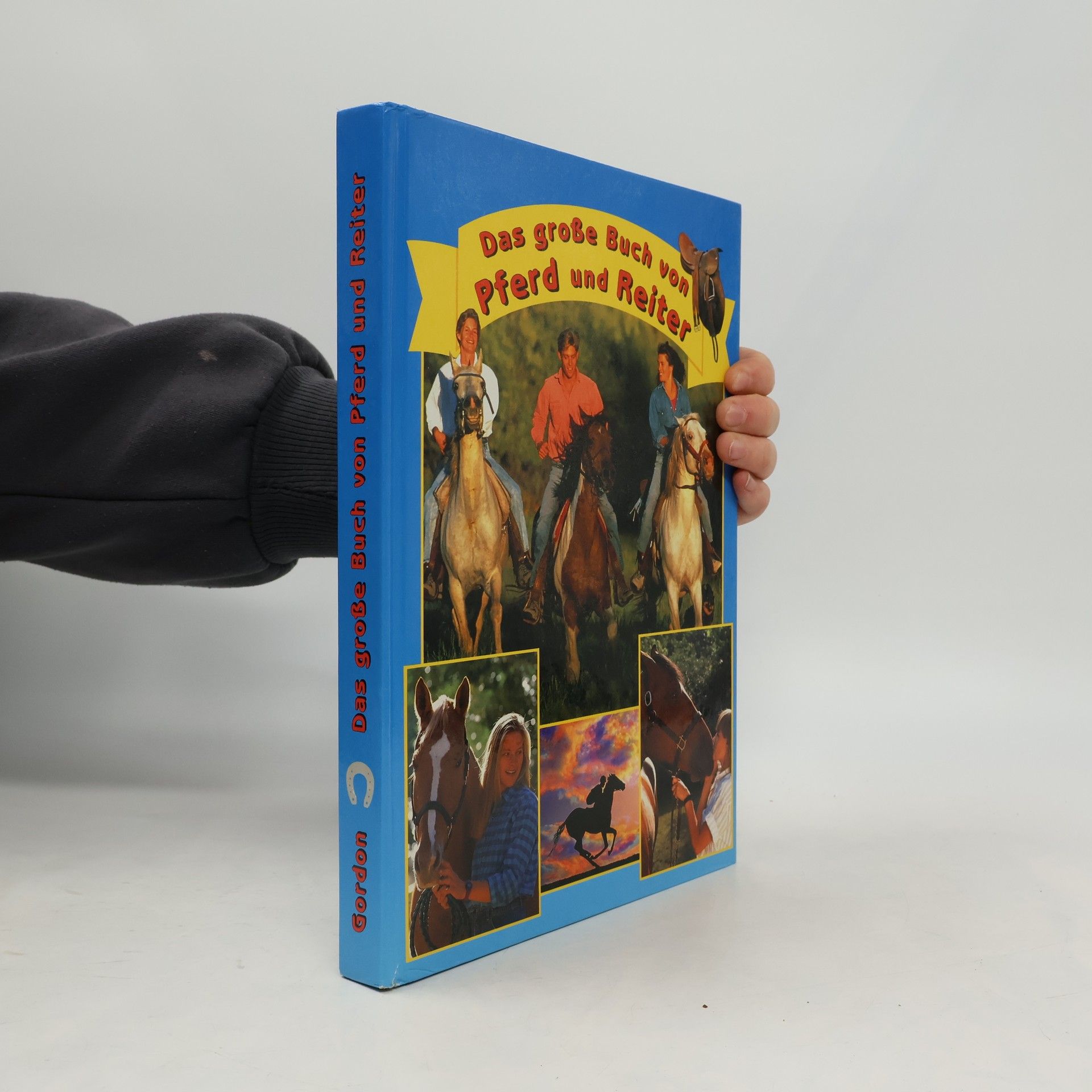 Marie Pelzer Das große Buch von Pferd und Reiter