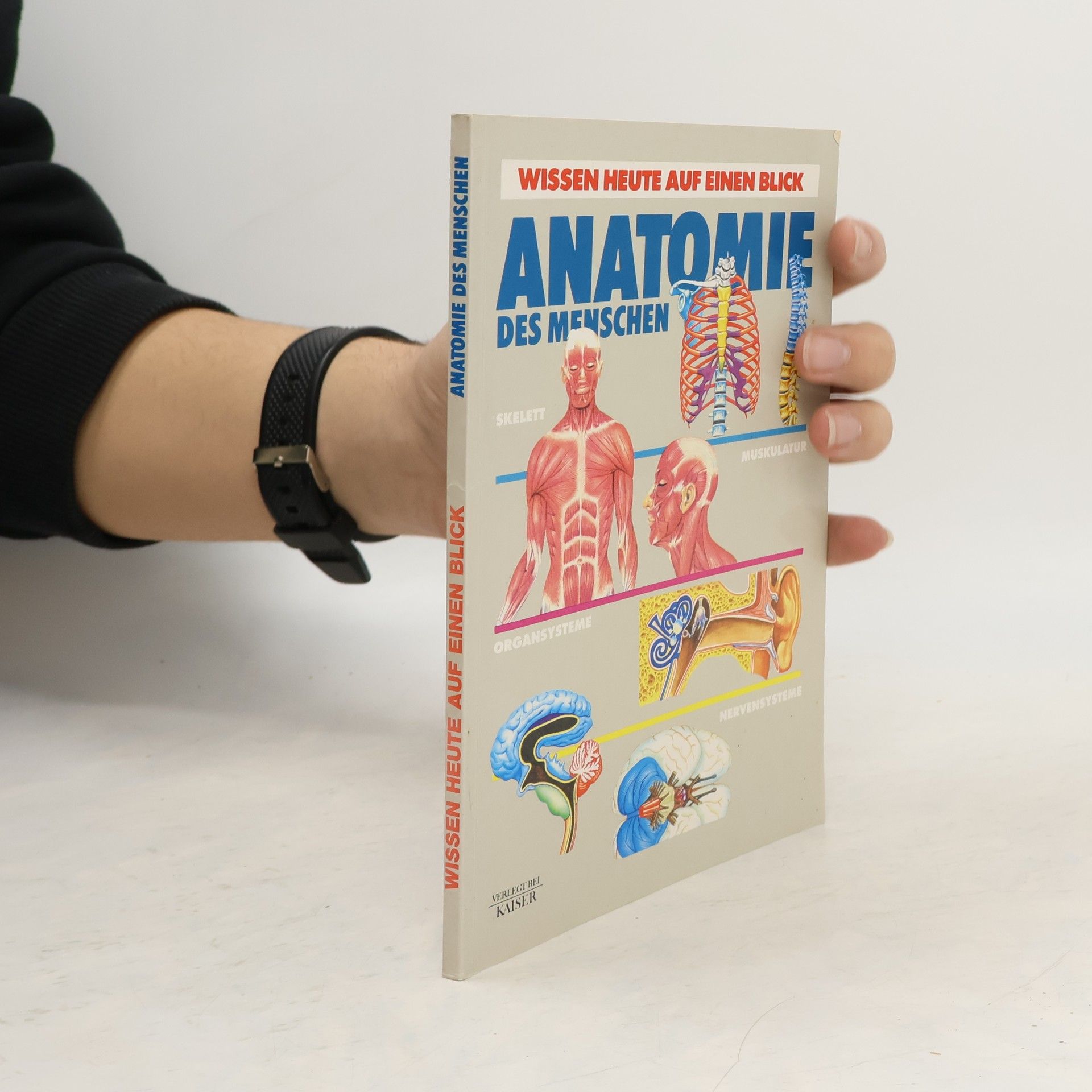 Kolektív autorov Anatomie des menschen