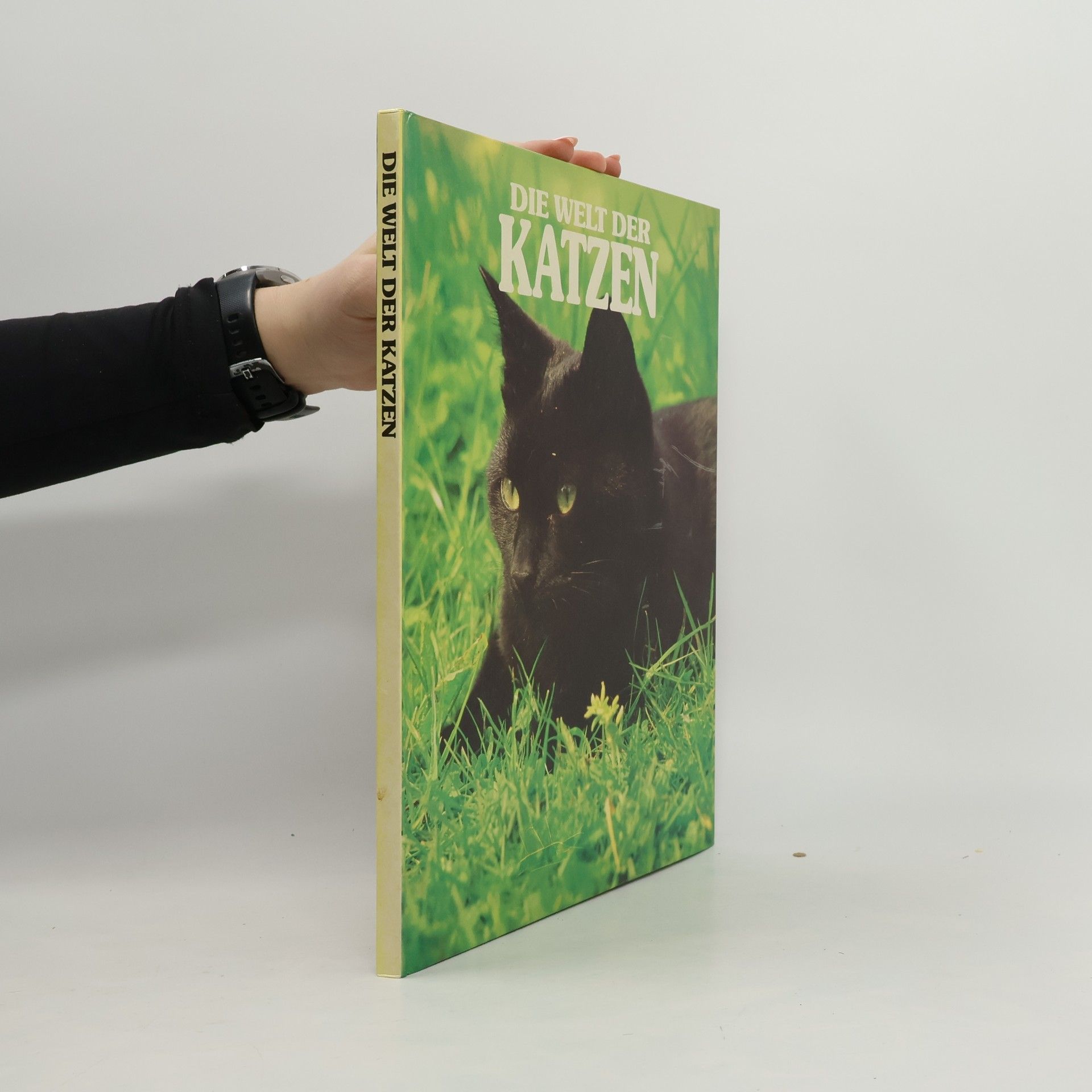 Collectif d'auteurs Die Welt der Katzen