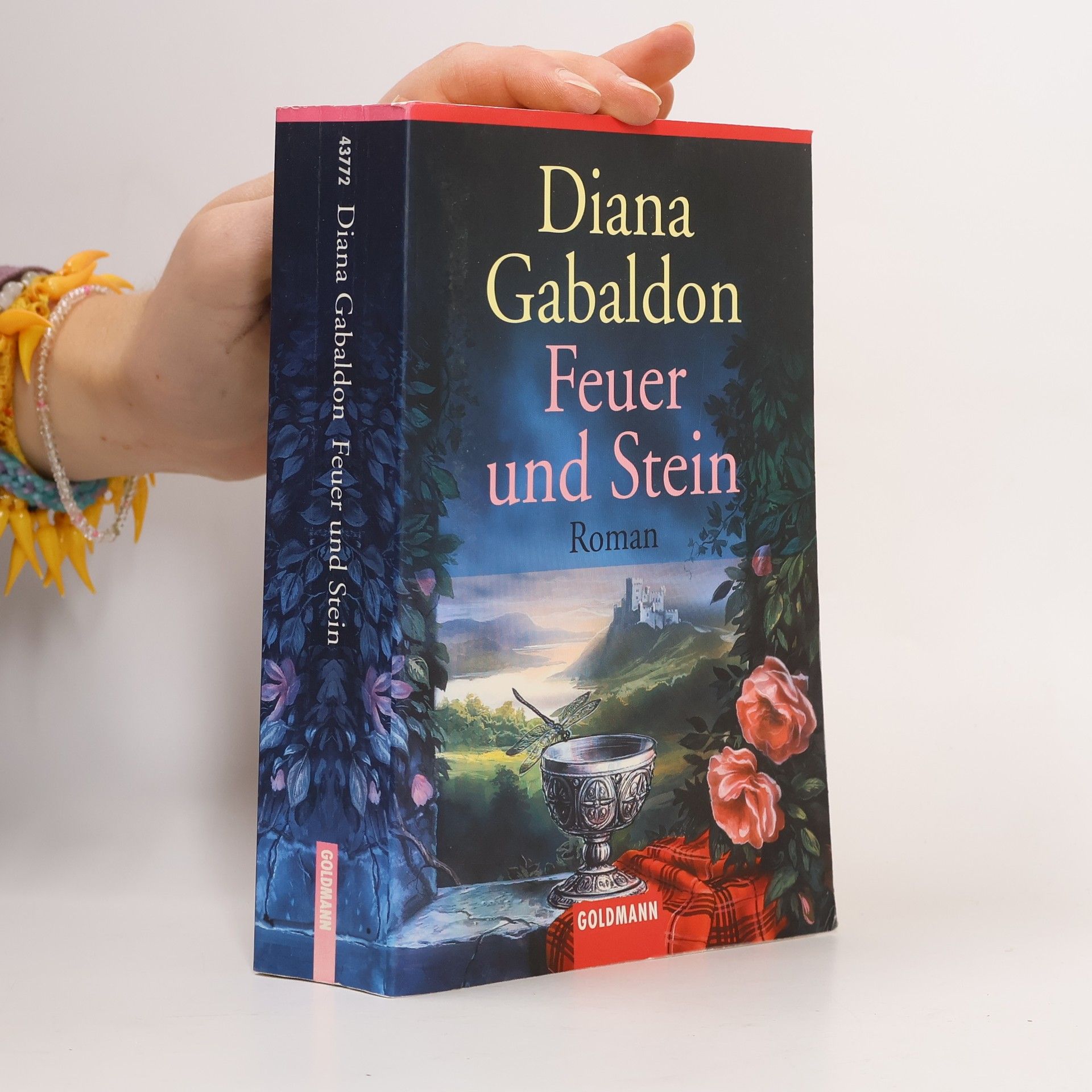Diana Gabaldon Feuer und Stein