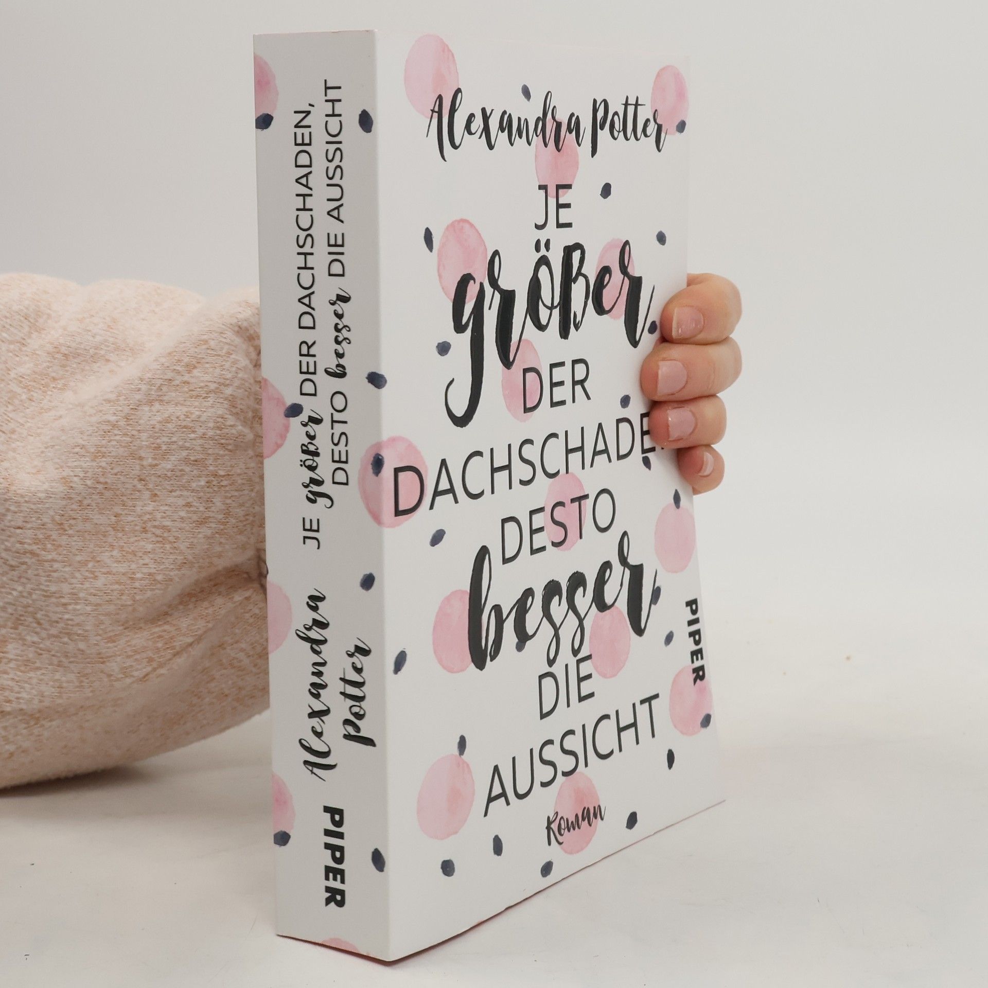 Alexandra Potter Je größer der Dachschaden, desto besser die Aussicht