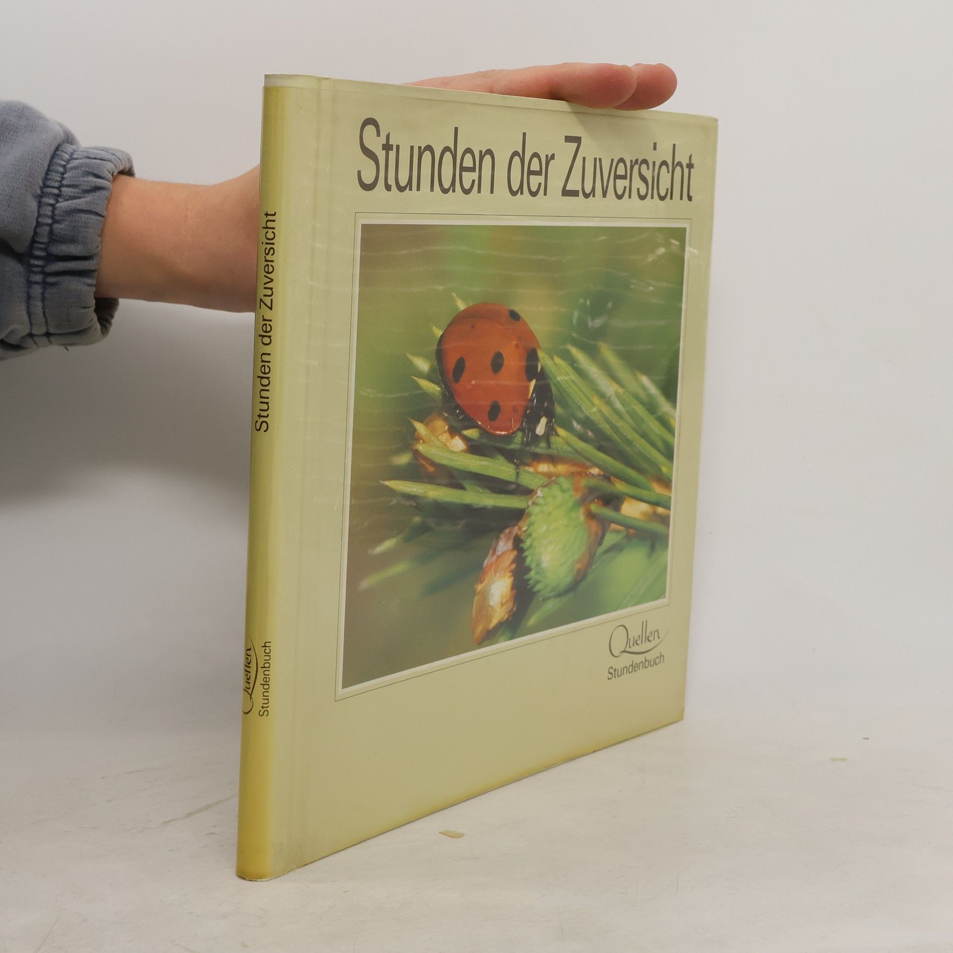 Eugen Hettinger Stunden der Zuversicht