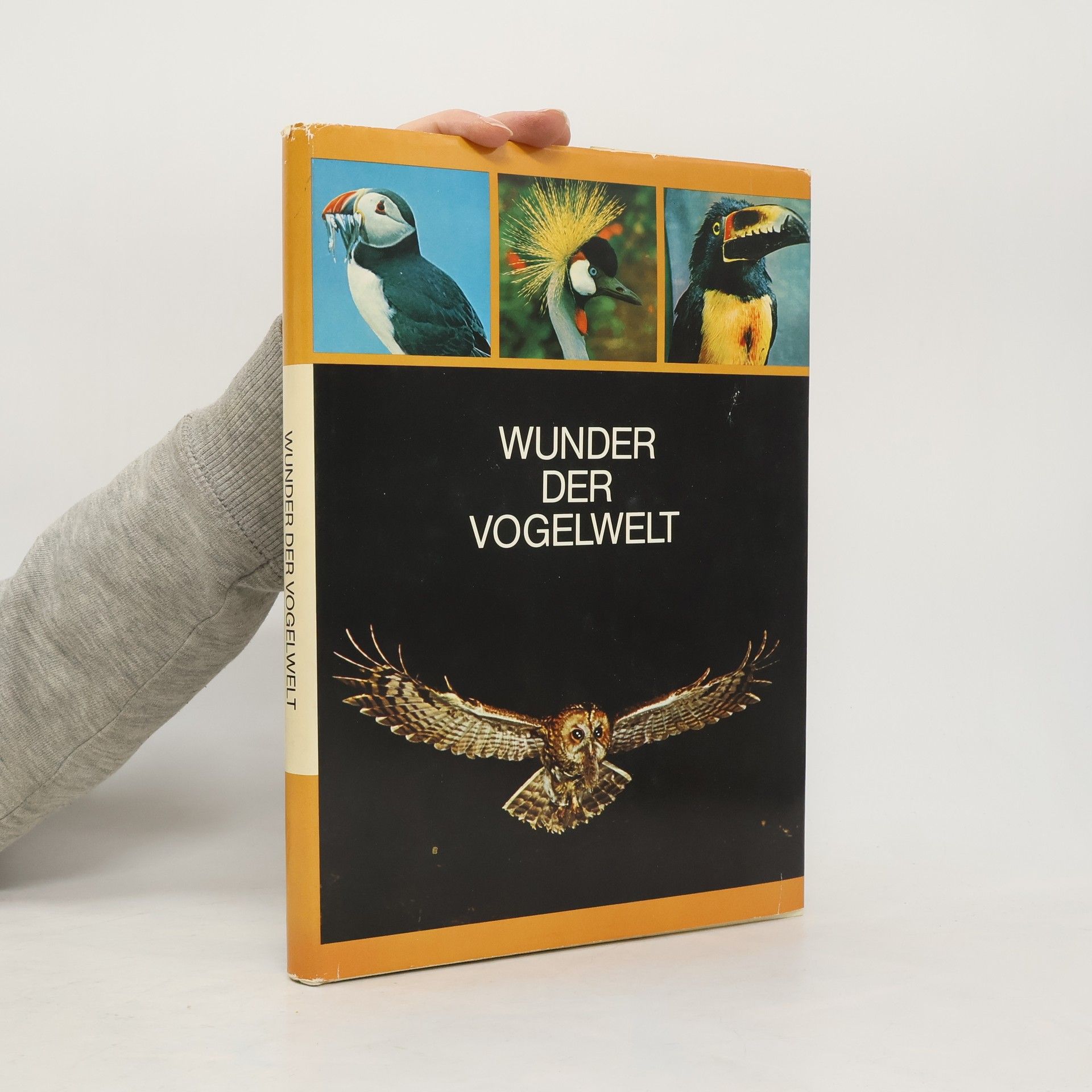 Han Rensenbrink Wunder der Vogelwelt