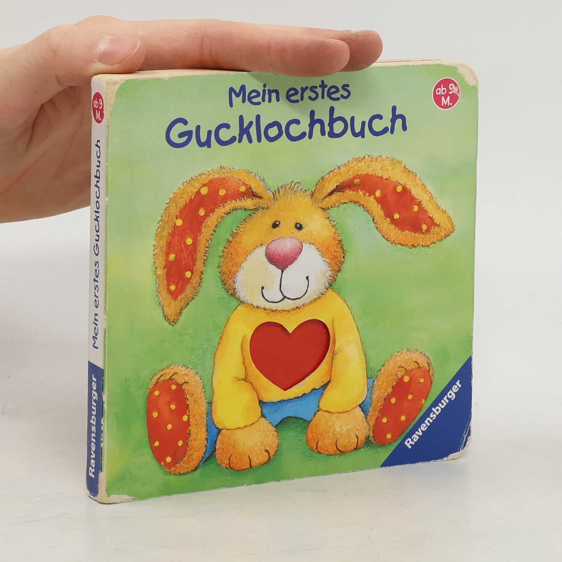 Ruth Wessels Mein erstes Gucklochbuch