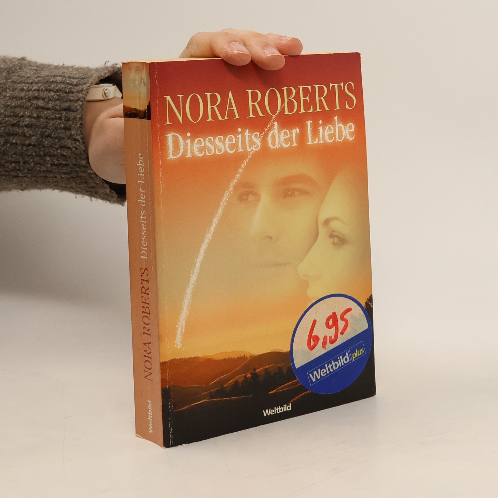 Nora Roberts Diesseits der Liebe