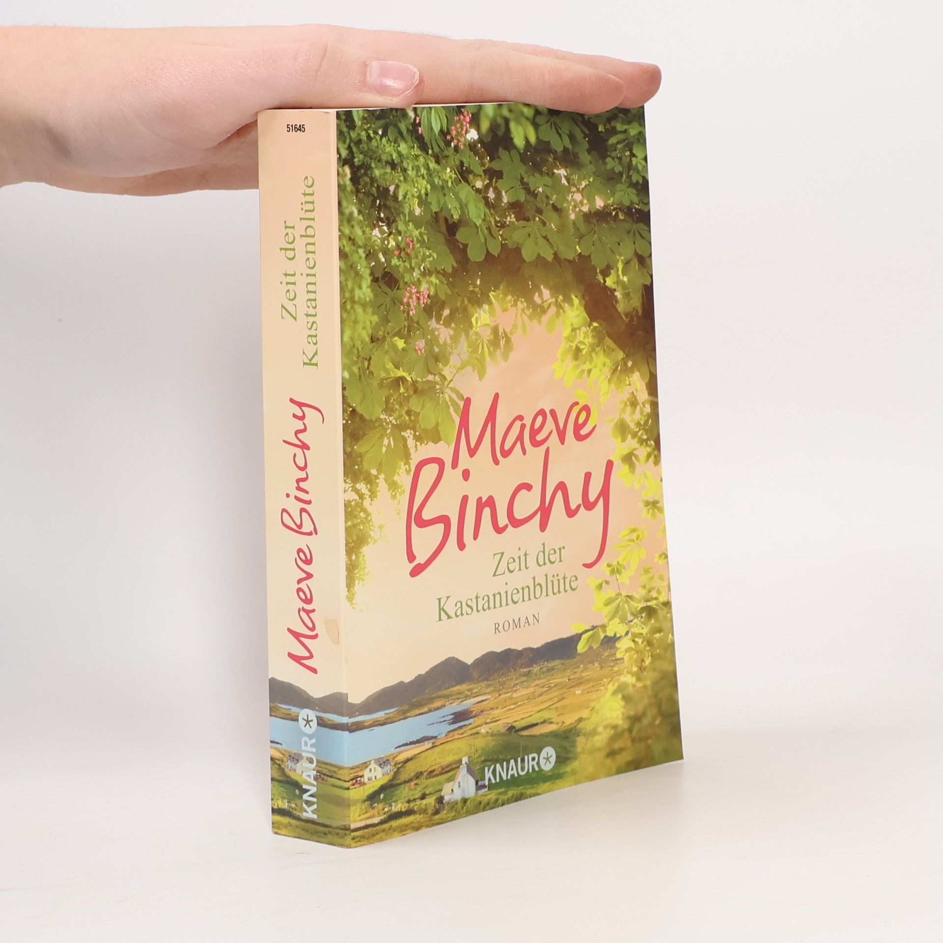 Maeve Binchy Zeit der Kastanienblüte