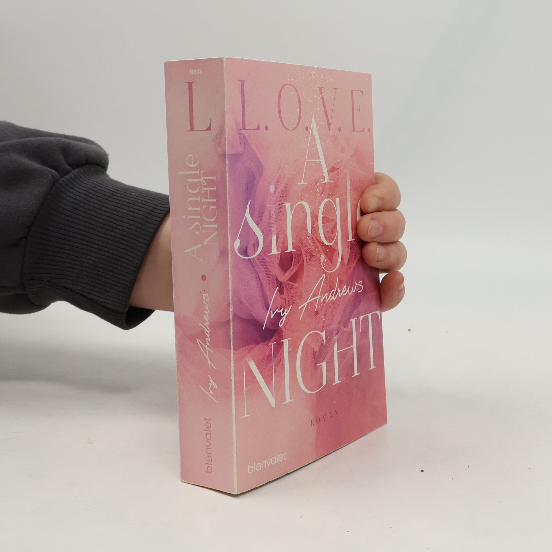 L.O.V.E. 1:A single night