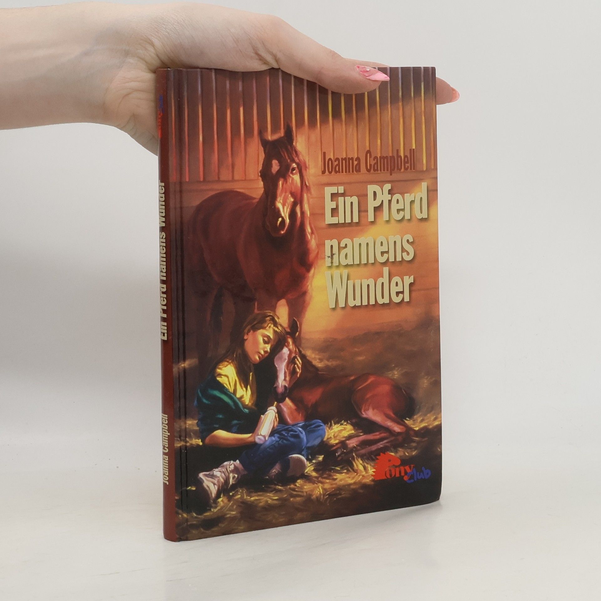 Ein Pferd namens Wunder