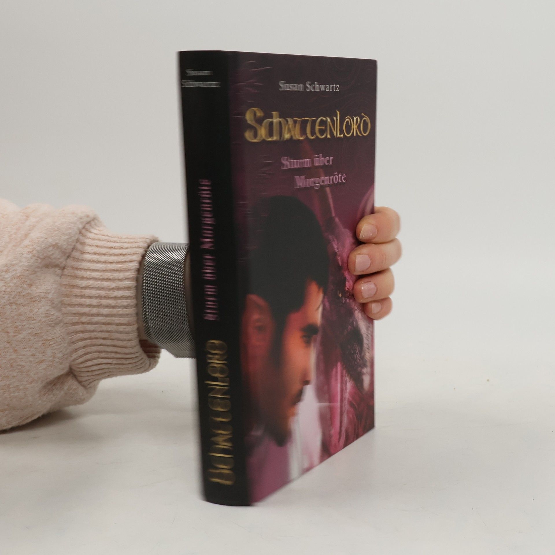 Susan Schwartz Schattenlord 5: Sturm über Morgenröte