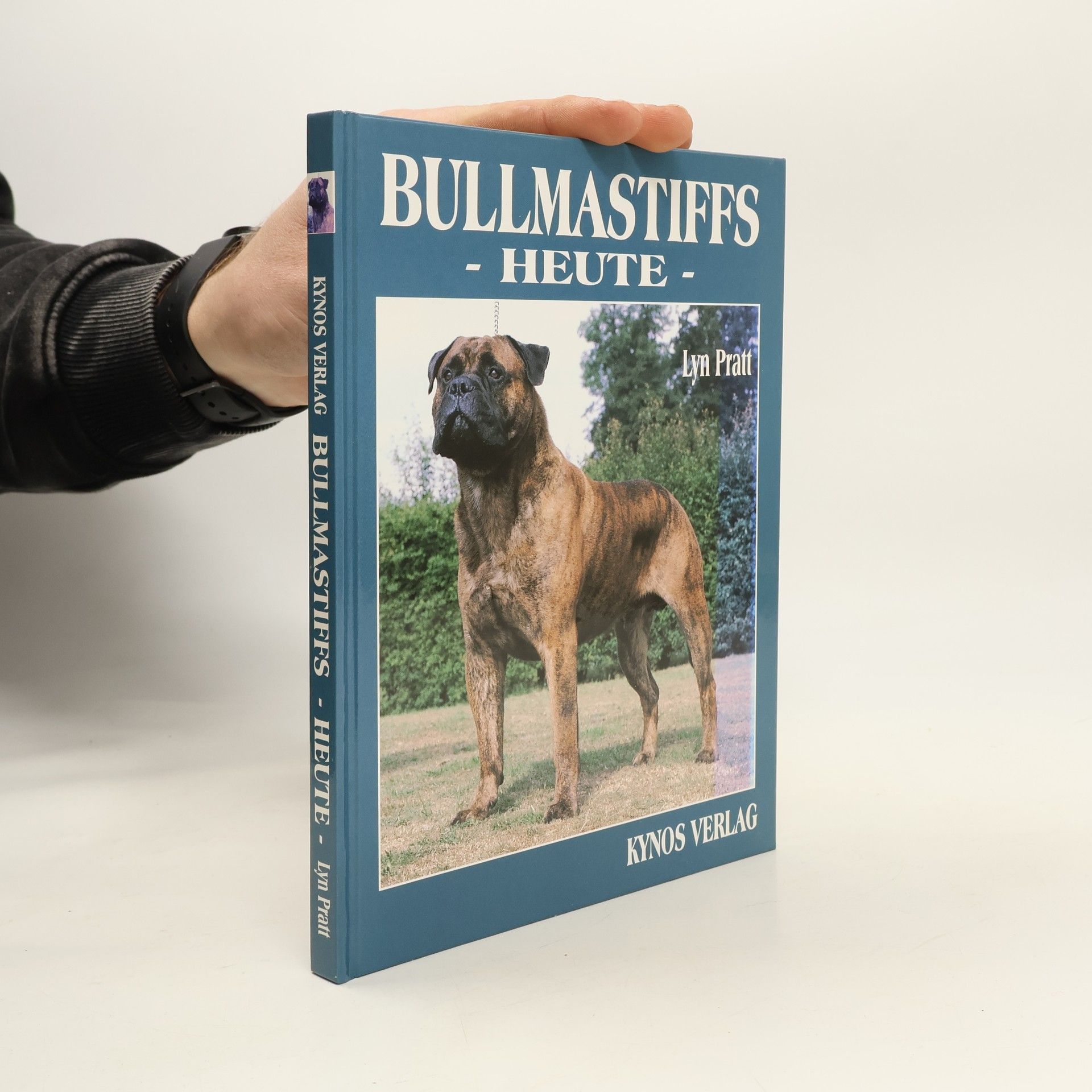 Lyn Pratt Bullmastiffs heute