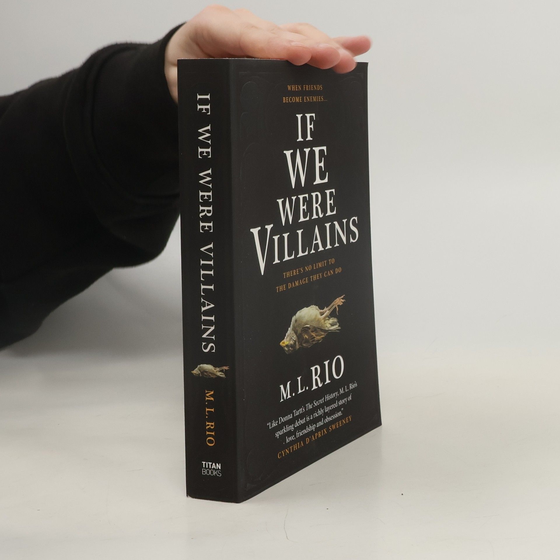 M. L. Rio If We Were Villains