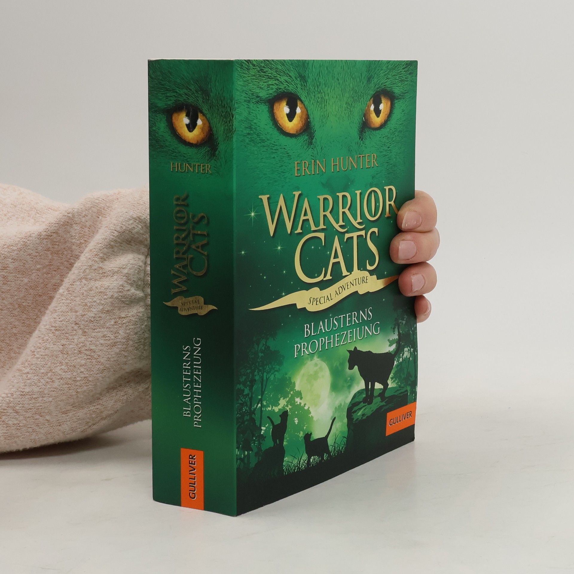 Erin Hunter Warrior Cats - Special Adventure, Blausterns Prophezeiung