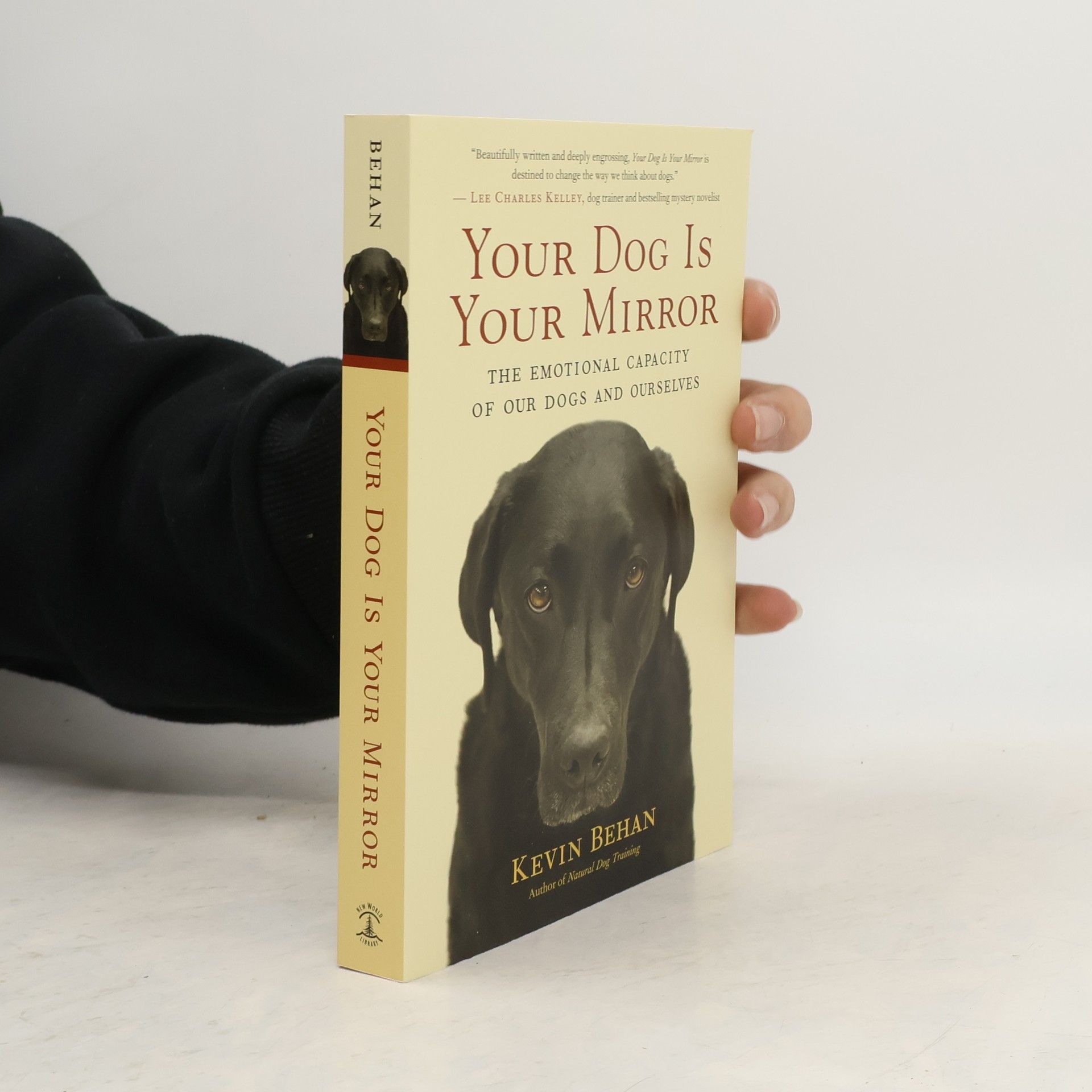 Kevin Behan Your Dog is Your Mirror