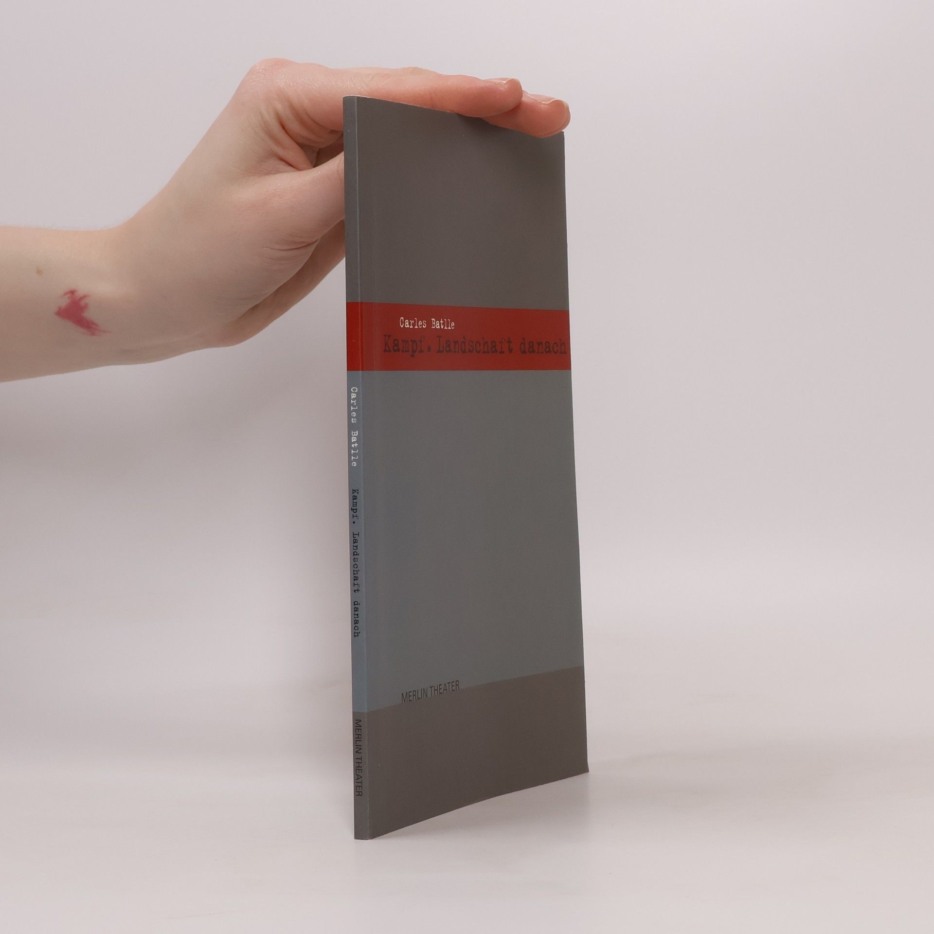 Carles Batlle i Jordà Kampf. Landschaft danach