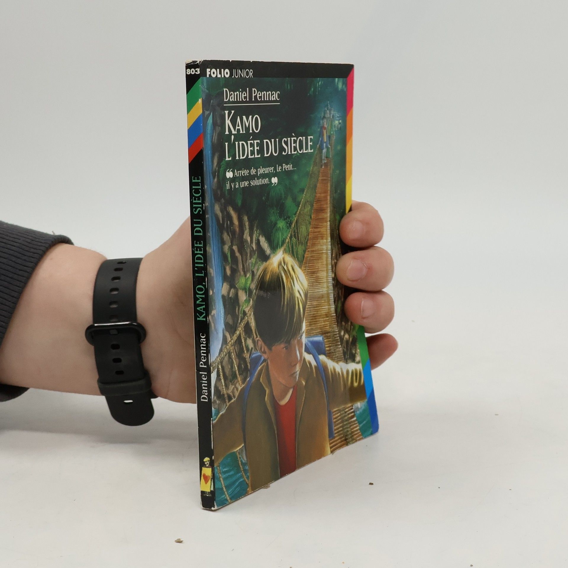 Kamo, l'idée du siècle