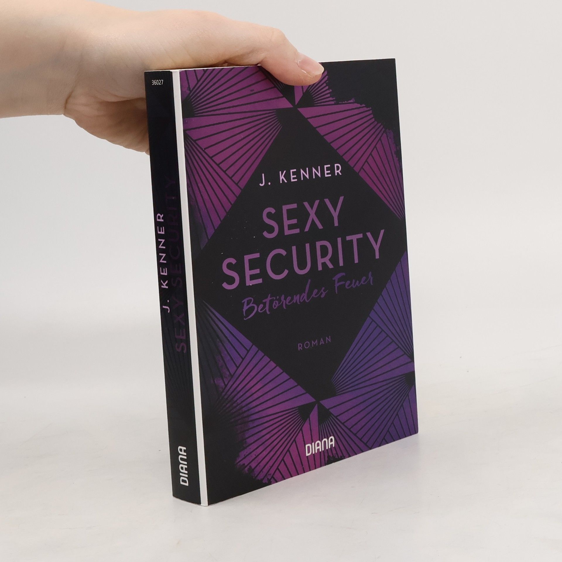 Julie Kenner Sexy Security