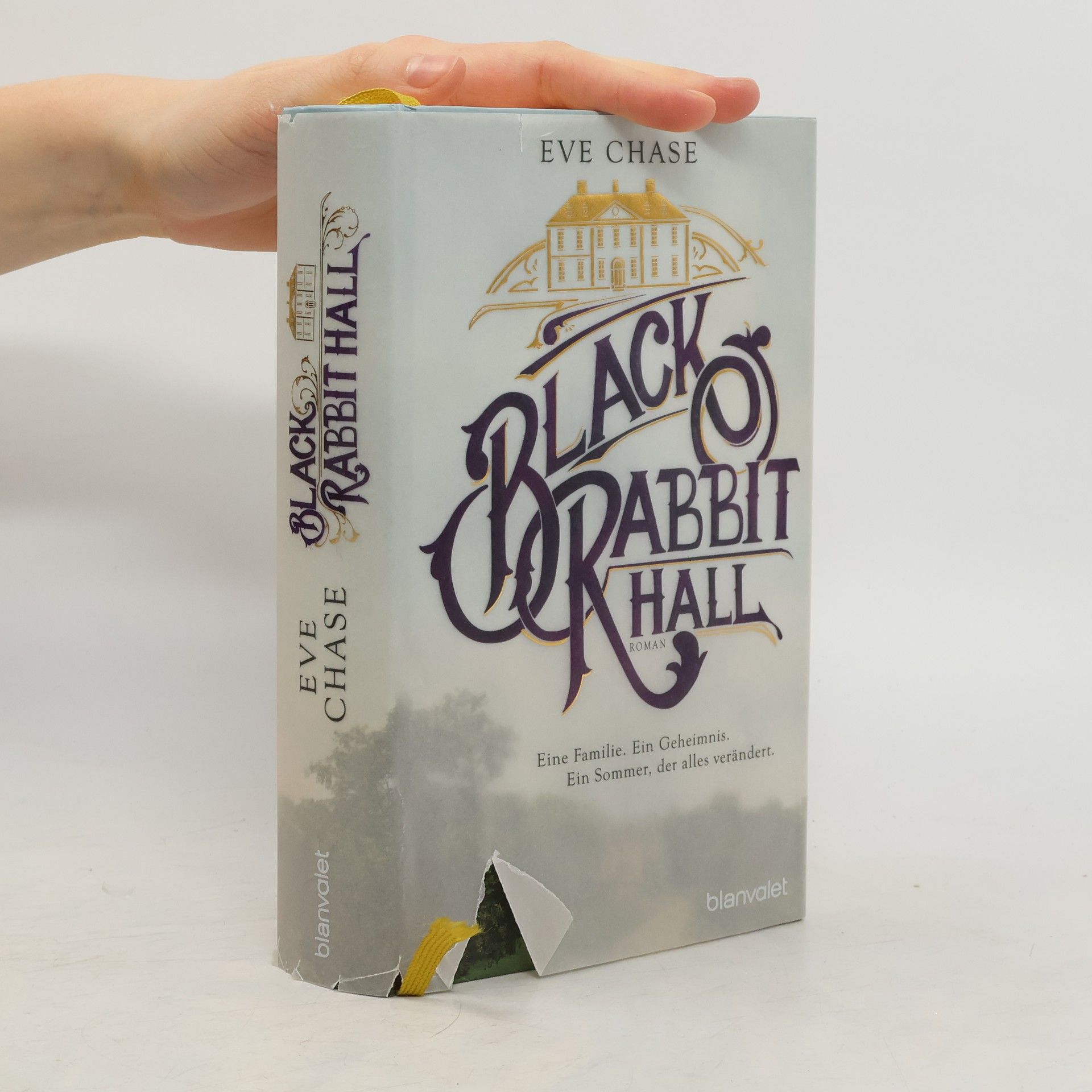 Eve Chase Black Rabbit Hall