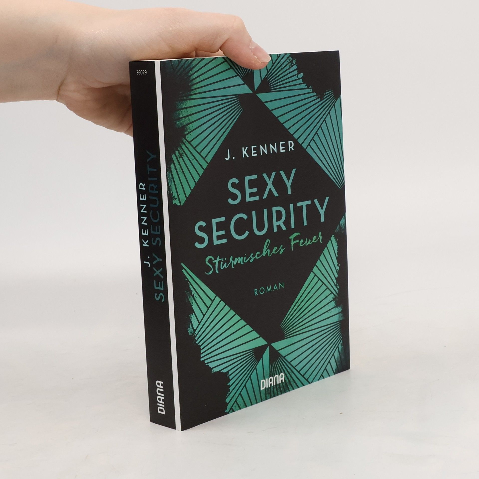 Julie Kenner Sexy Security. Stürmisches Feuer - Roman